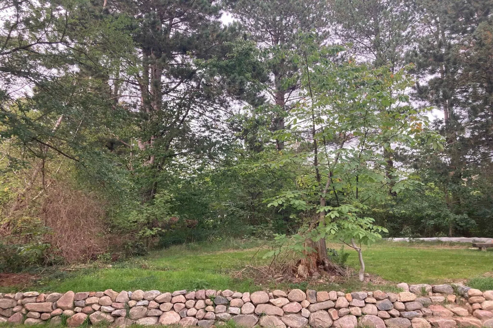 5 star holiday home in Vejby-Untagged