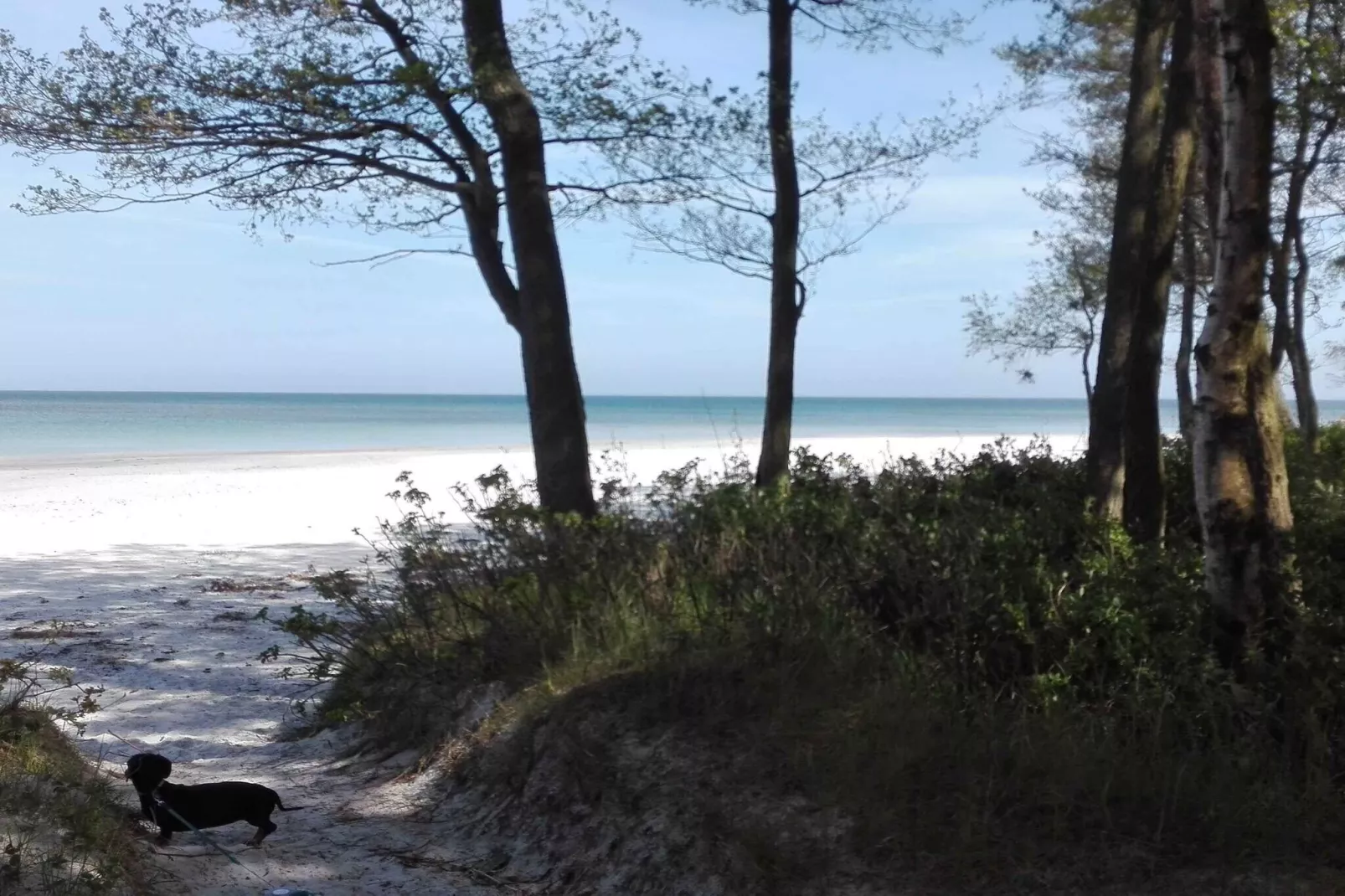 5 star holiday home in Nexø-Outdoor