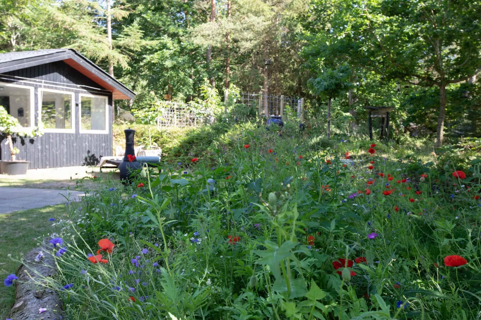 5 star holiday home in Hadsund-Outdoor