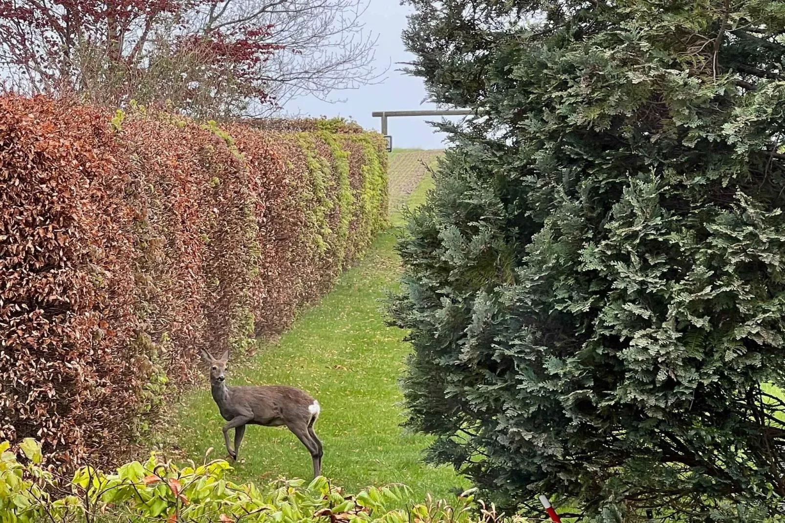 5 star holiday home in Karrebæksminde-Outdoor