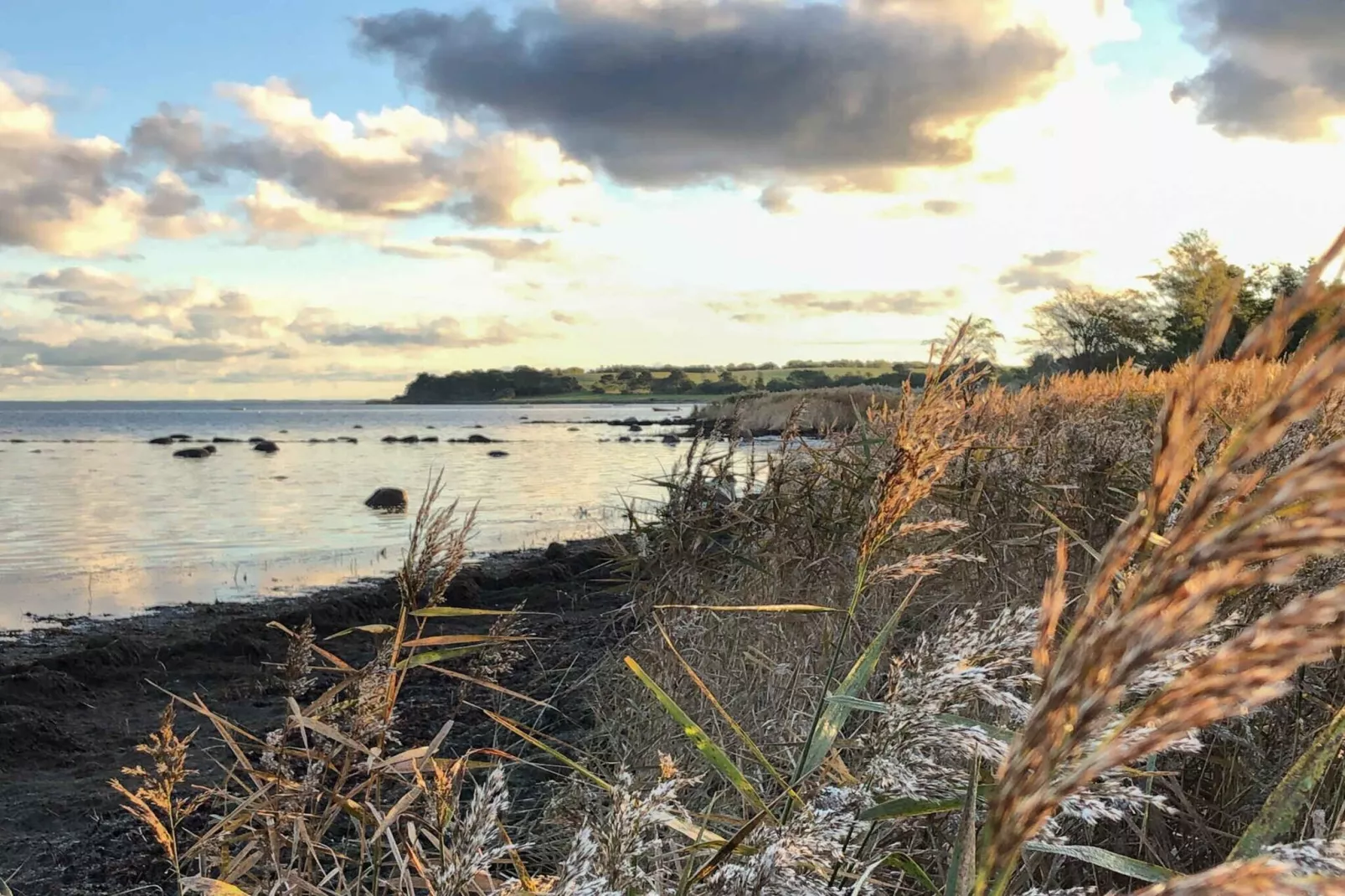 5 etoiles maison de vacances a Holbæk-Vue sur l'eau