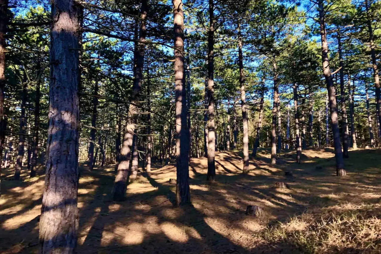 5 etoiles maison de vacances a Nykøbing Sj-Extérieur