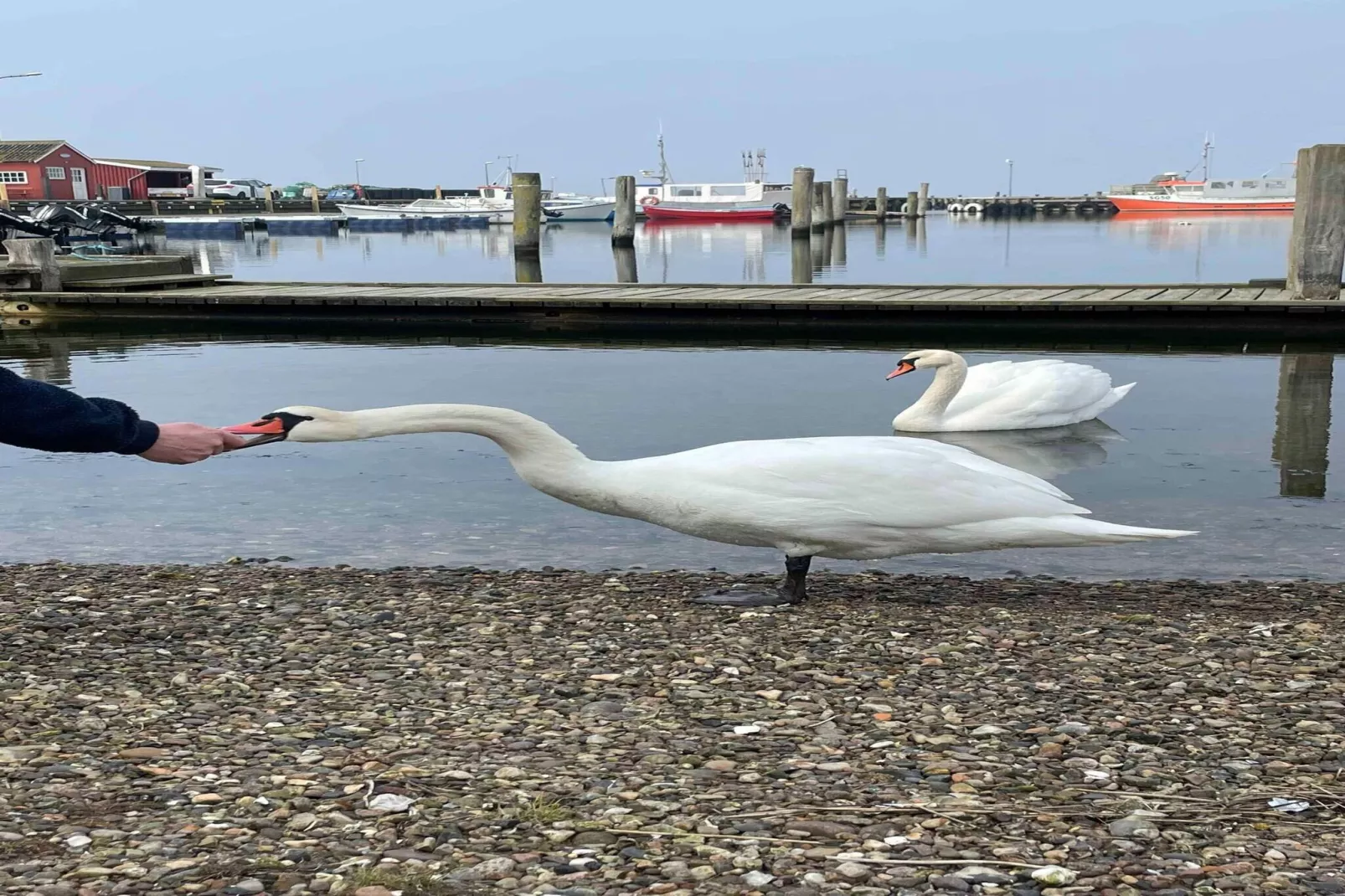 5 etoiles maison de vacances a Bagenkop-Extérieur