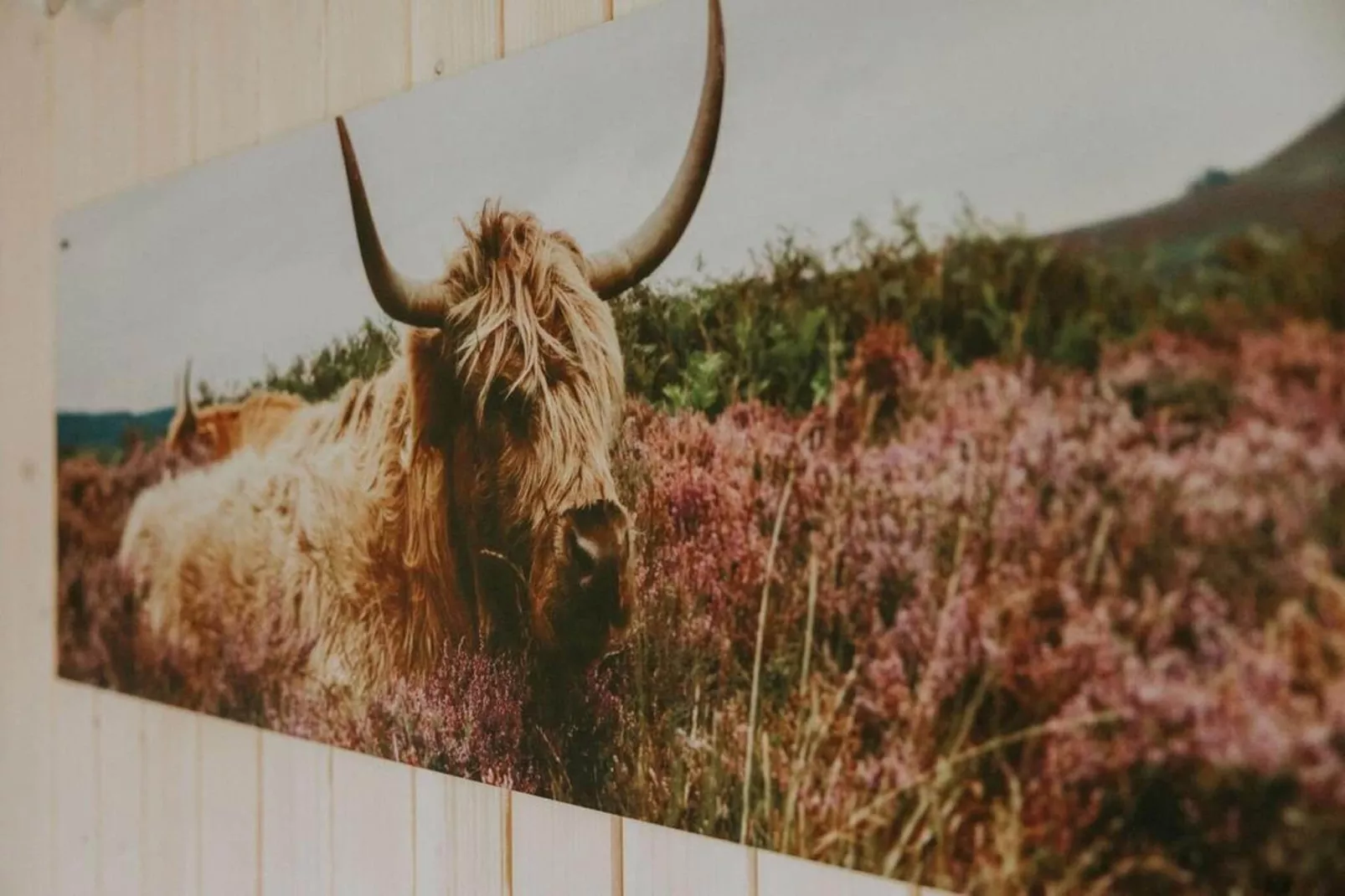 Tiny house XL | 2-4 persoons-Ambiance