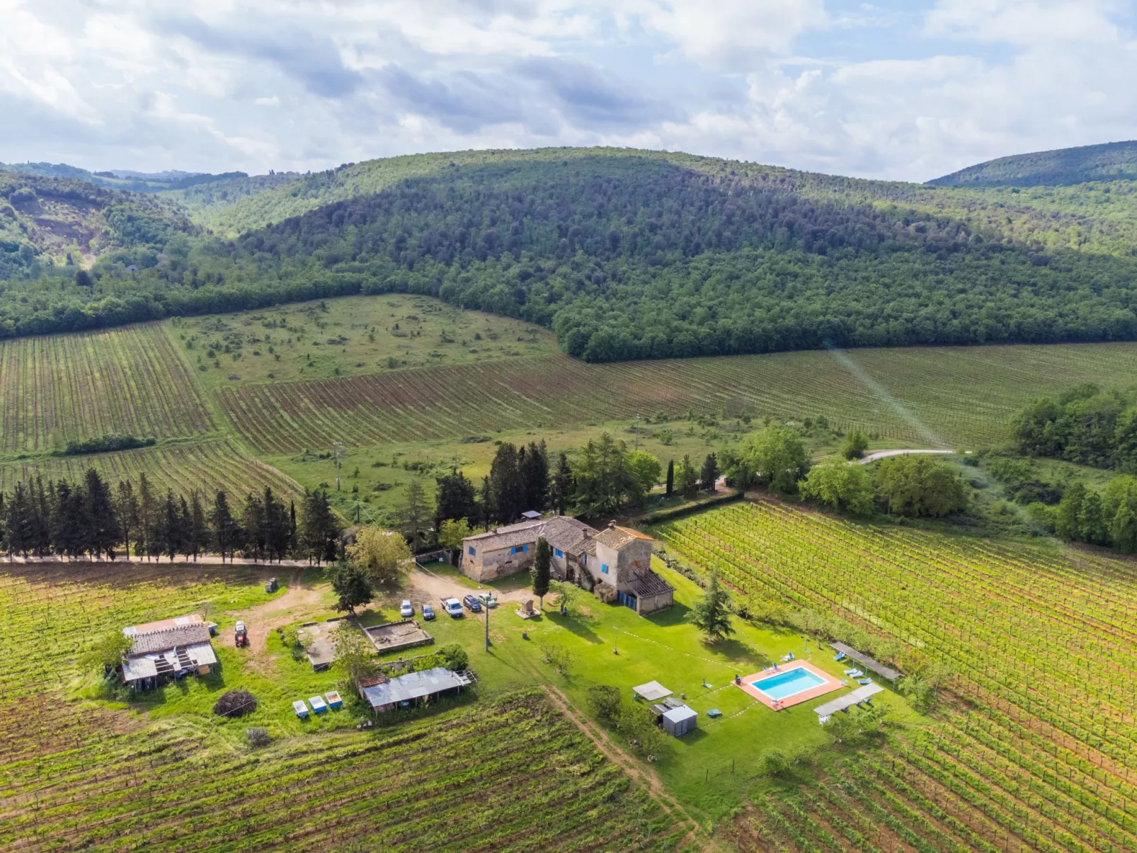 Fattoria Petraglia - Cedro-Draußen