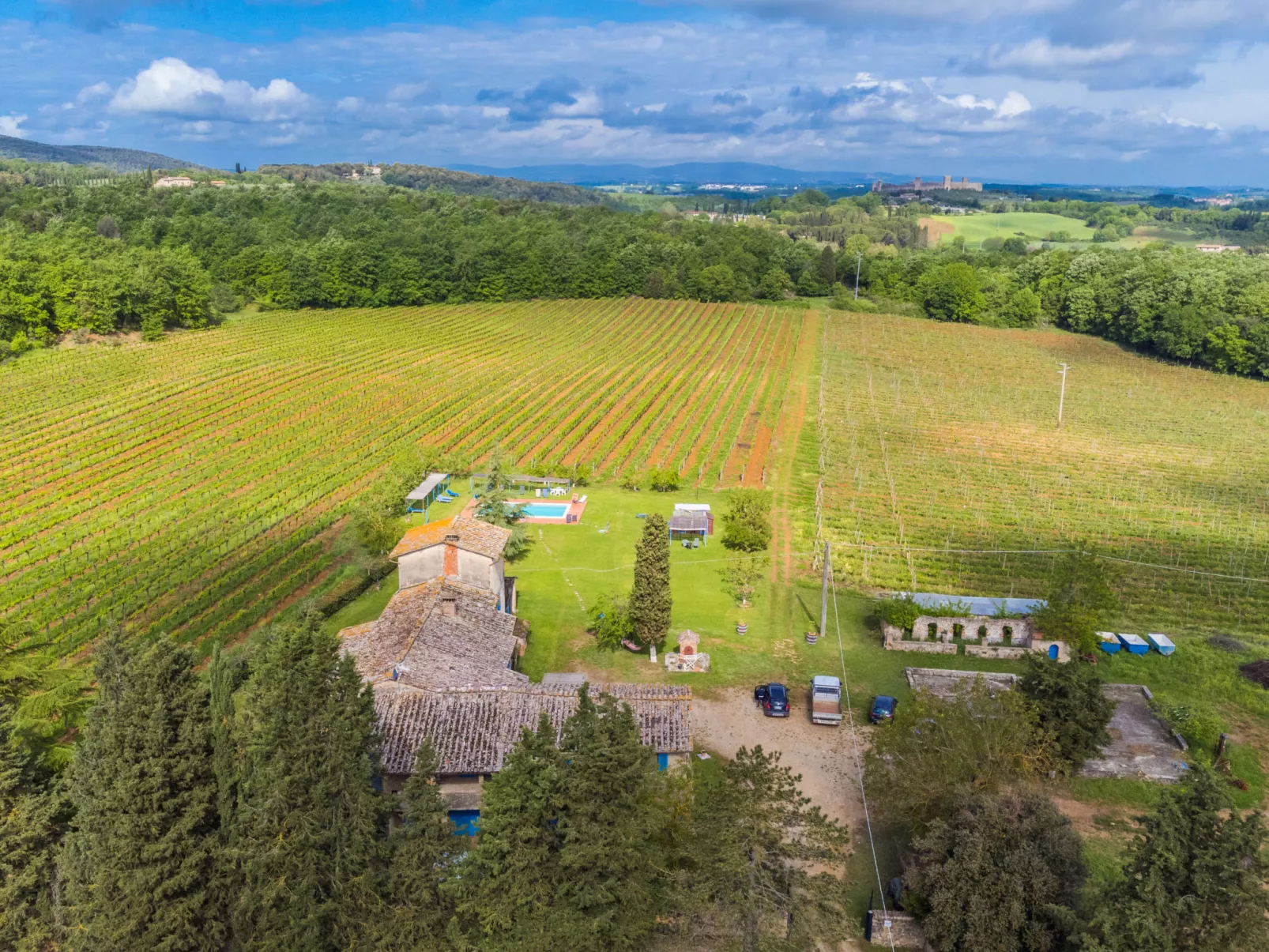 Fattoria Petraglia - Cedro-Draußen