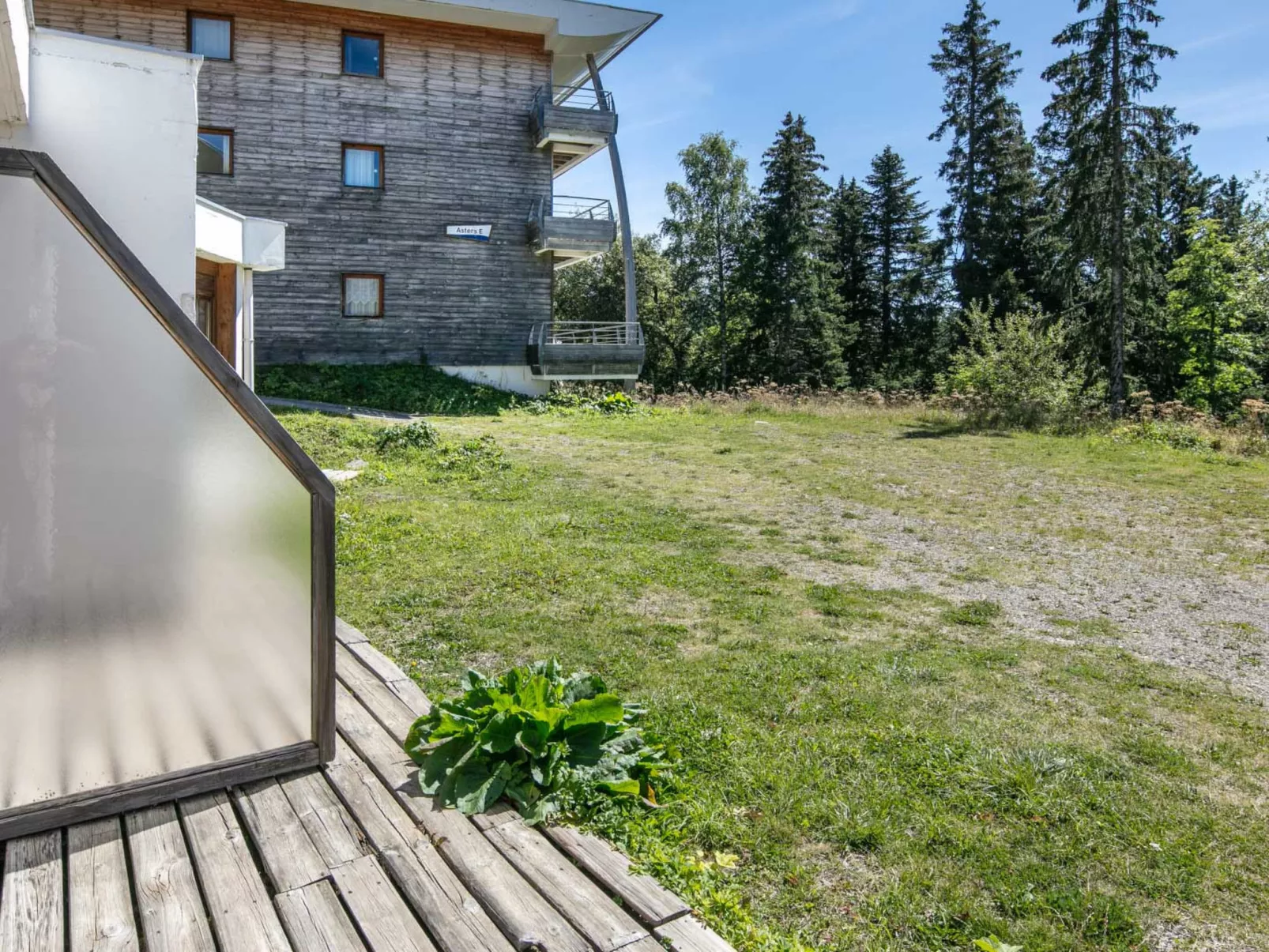 V. du Bachat ASTERS A-Dehors