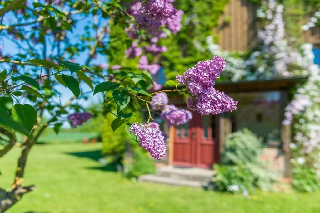 17823-Nicht zugeordnet