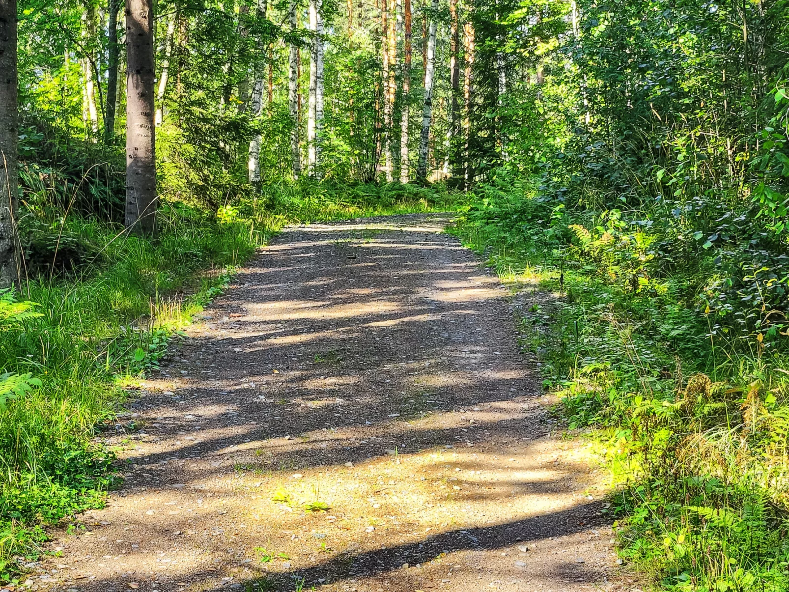 Villa soittoranta-Drinnen