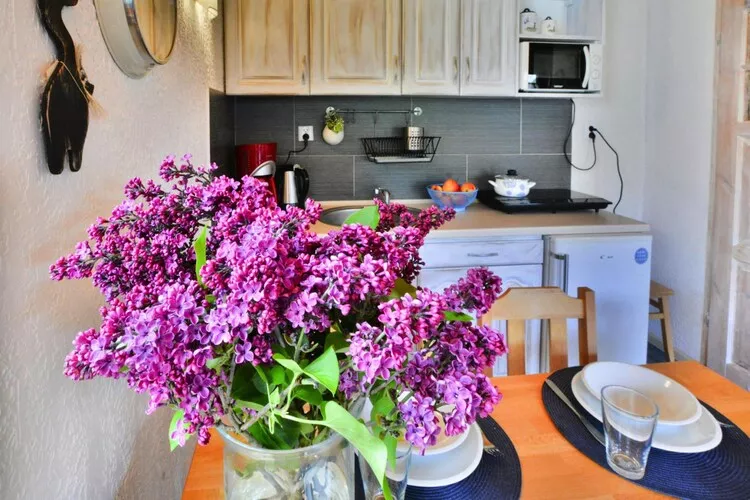 Piętrowe domy wakacyjne Bobolin dla max 3 os-Kitchen