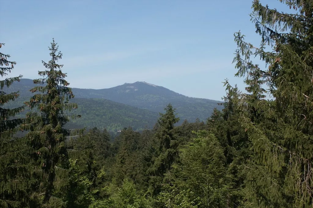 102862-Nicht zugeordnet