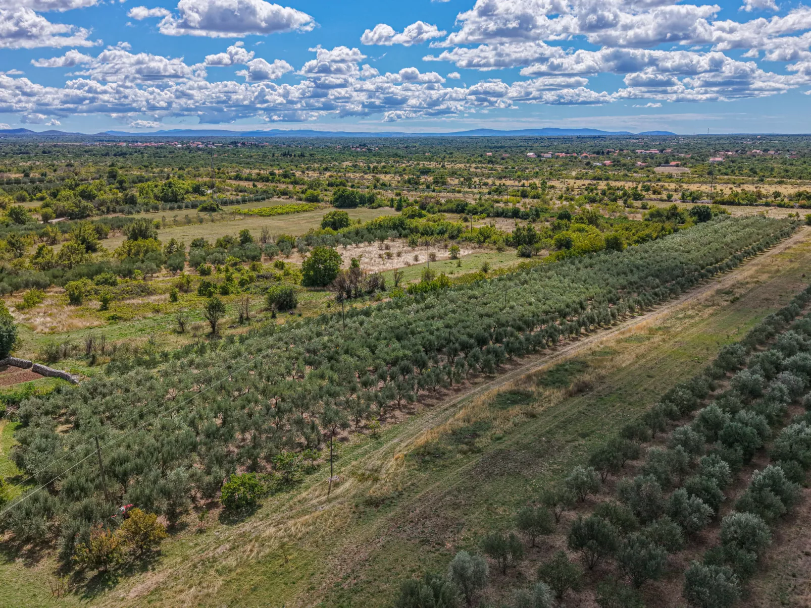 Rural Villa Olive Krka-Dehors