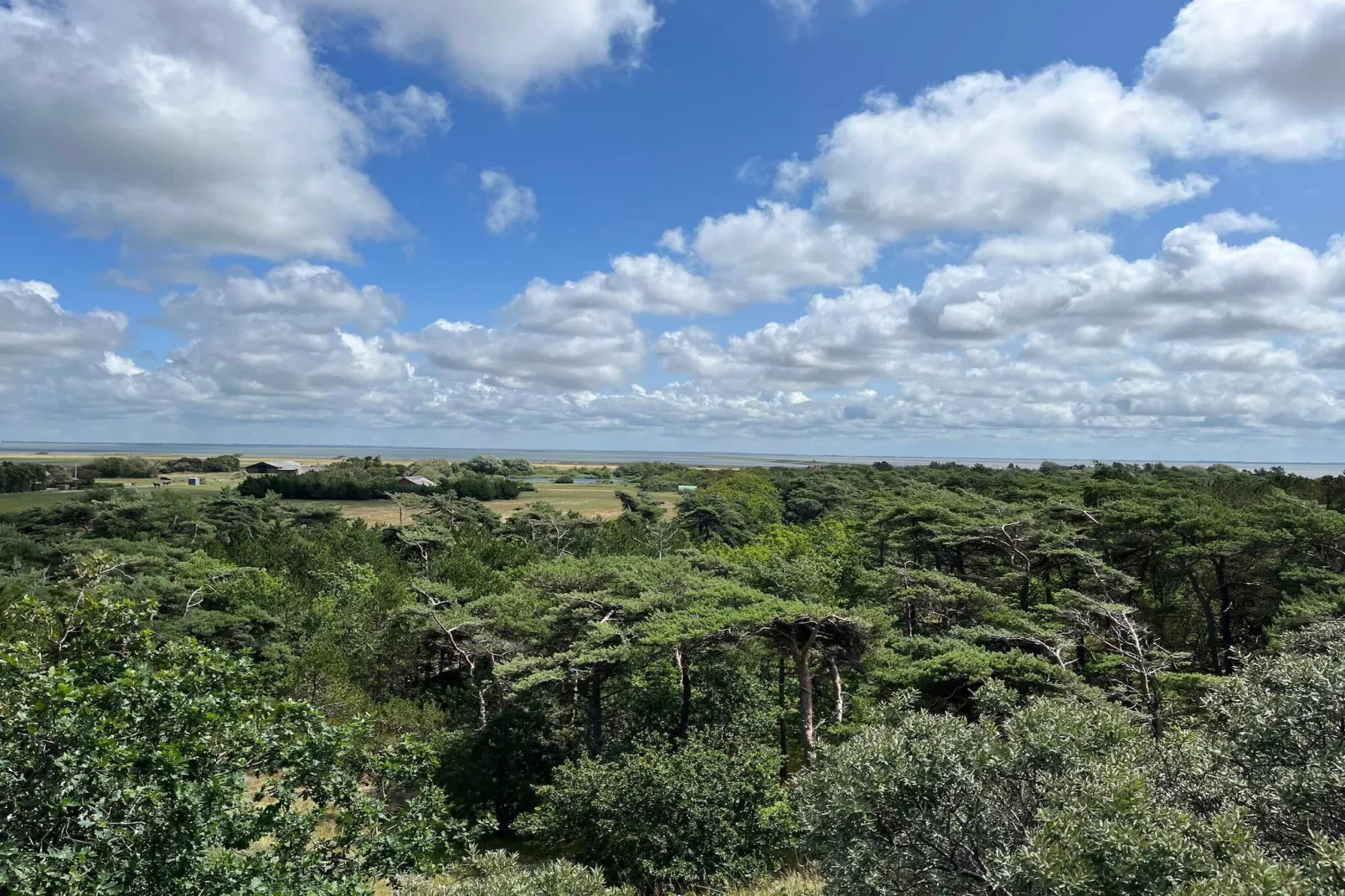 Tranquil Thatched Cottage on Romo-By Traum-Untagged