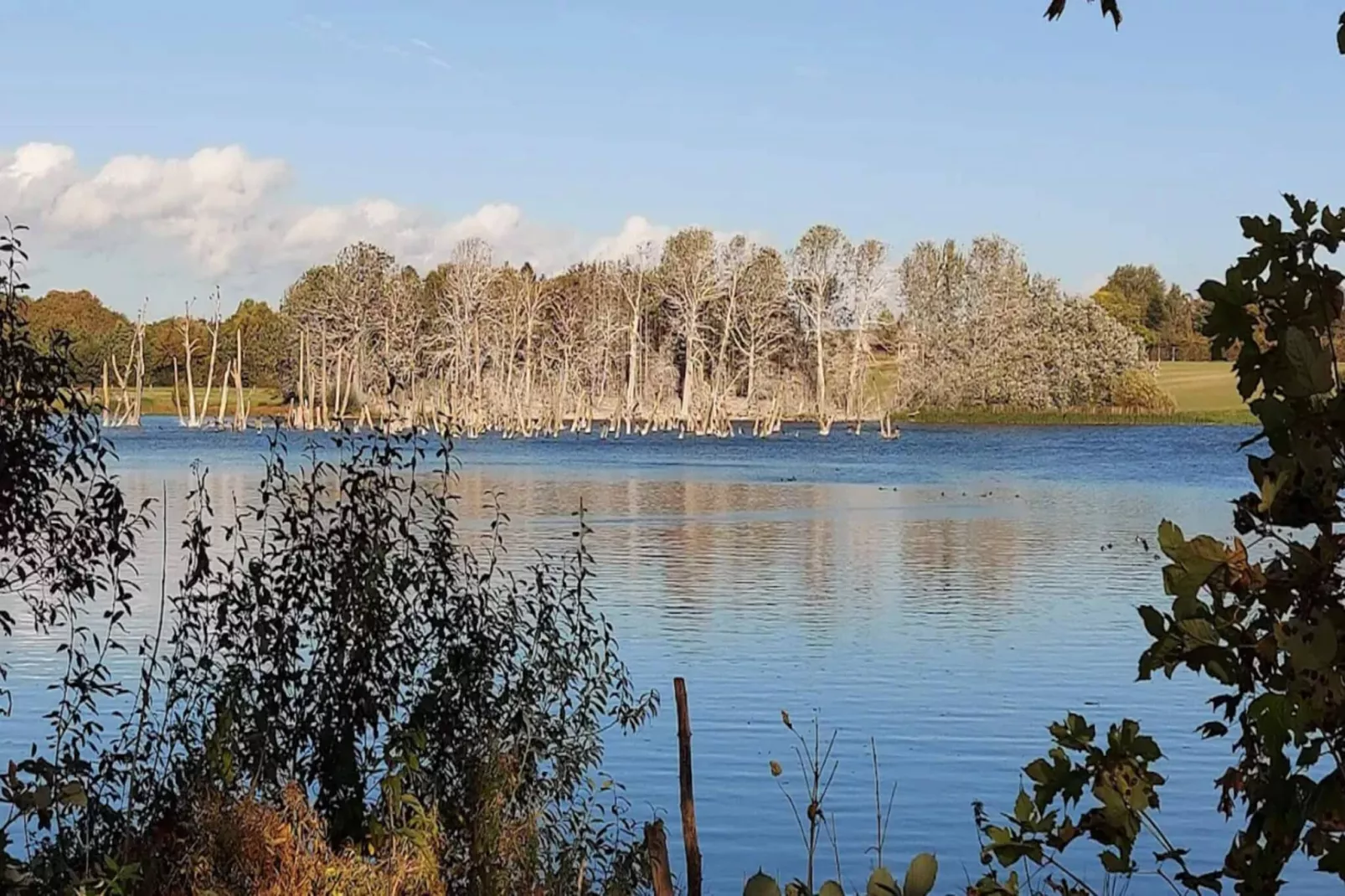 Ferienhaus in der Nähe von Nysted-Wasserblick