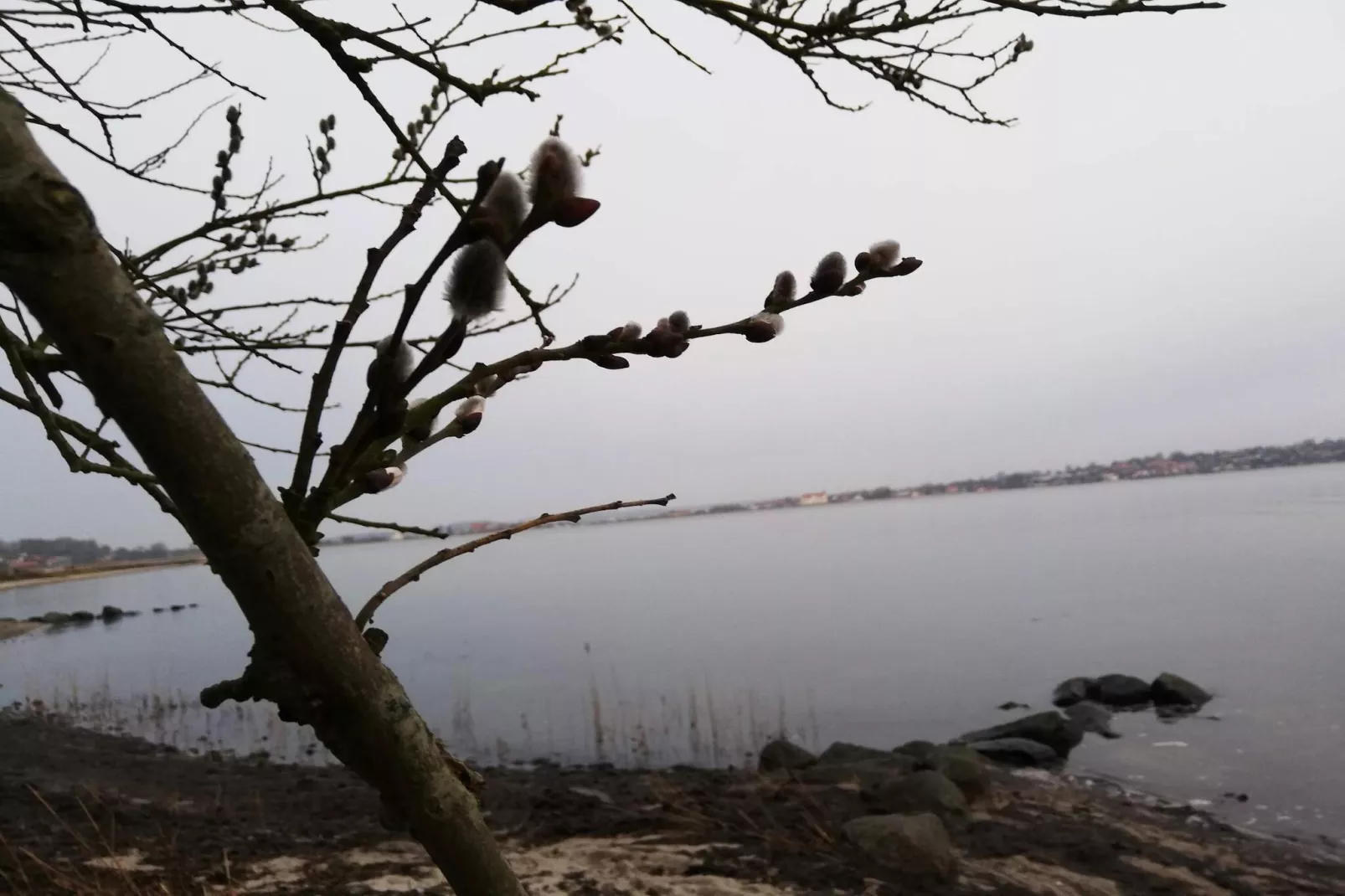 6 Personen Ferienhaus in Hejls - Wasserblick