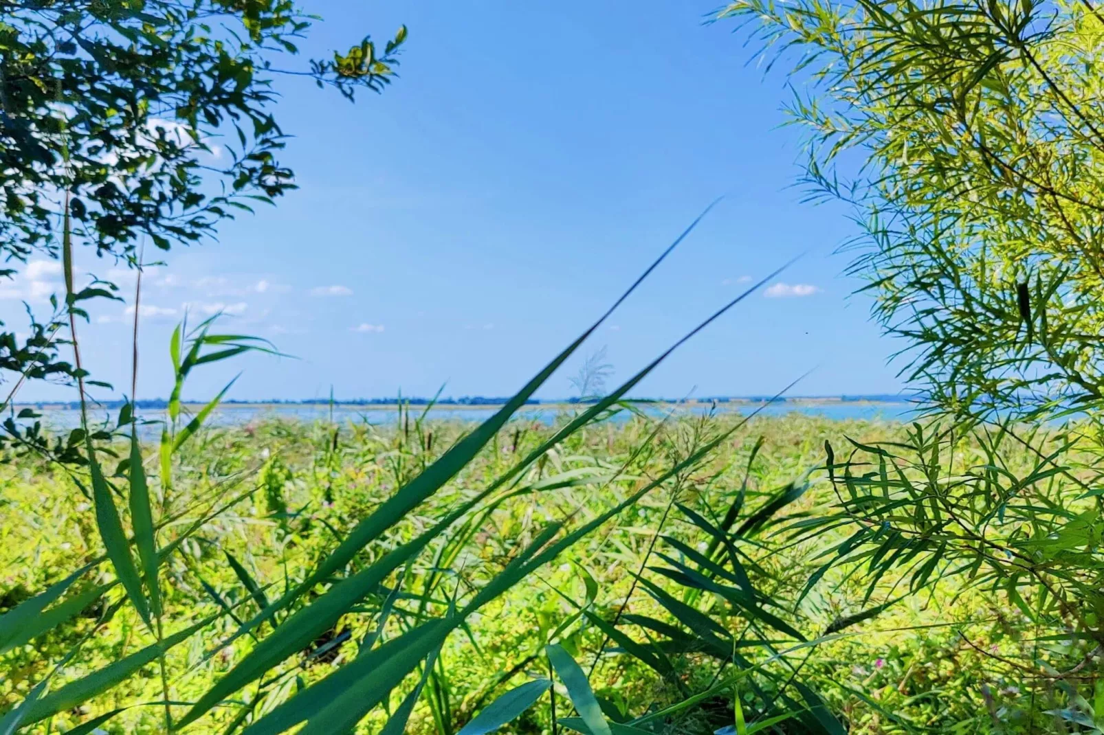 Kustenserene in Jaegerspris-By Traum-Wasserblick