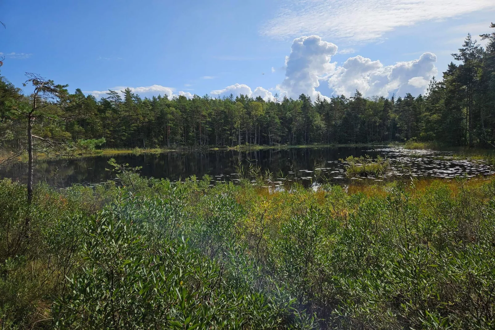 4 Personen Ferienhaus in Brålanda-Wasserblick
