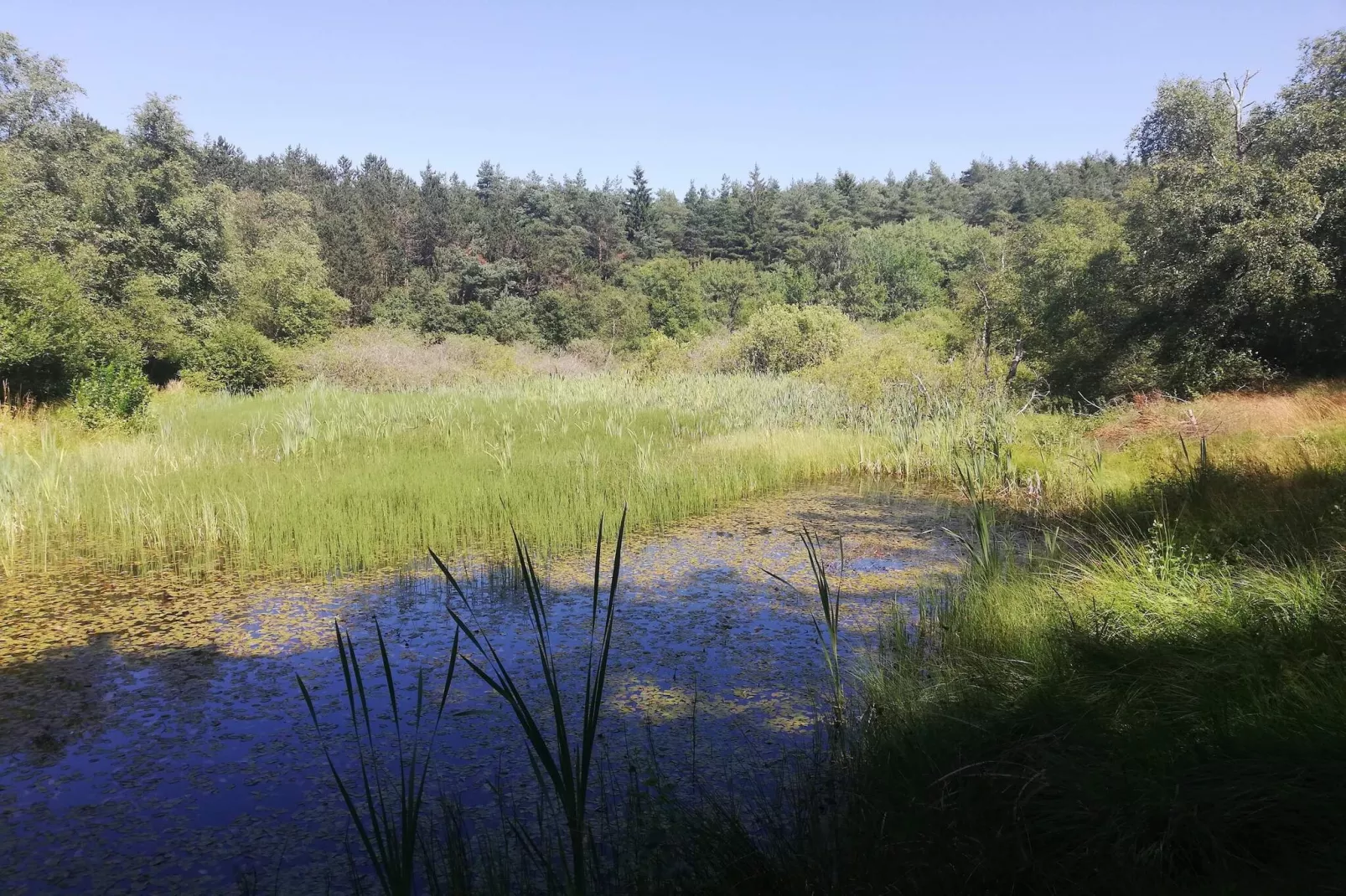 Helle Cottage-Oase in Silkeborg-By Traum-Wasserblick