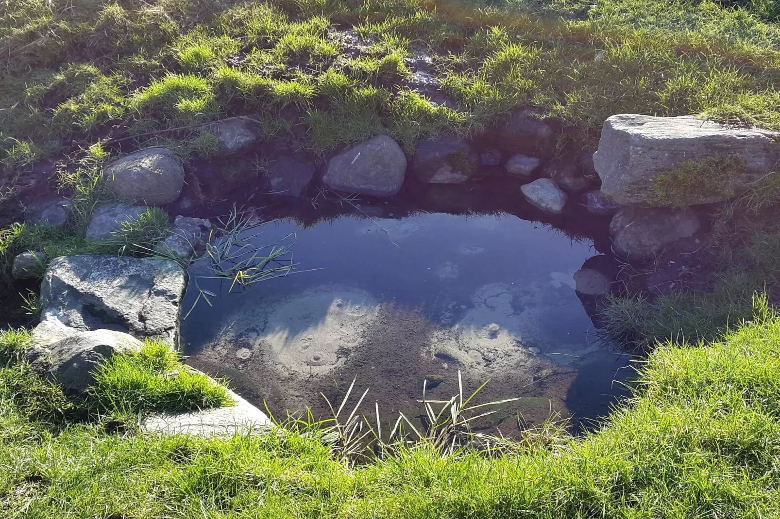 Tranquil Nature Escape-By Traum-Water view