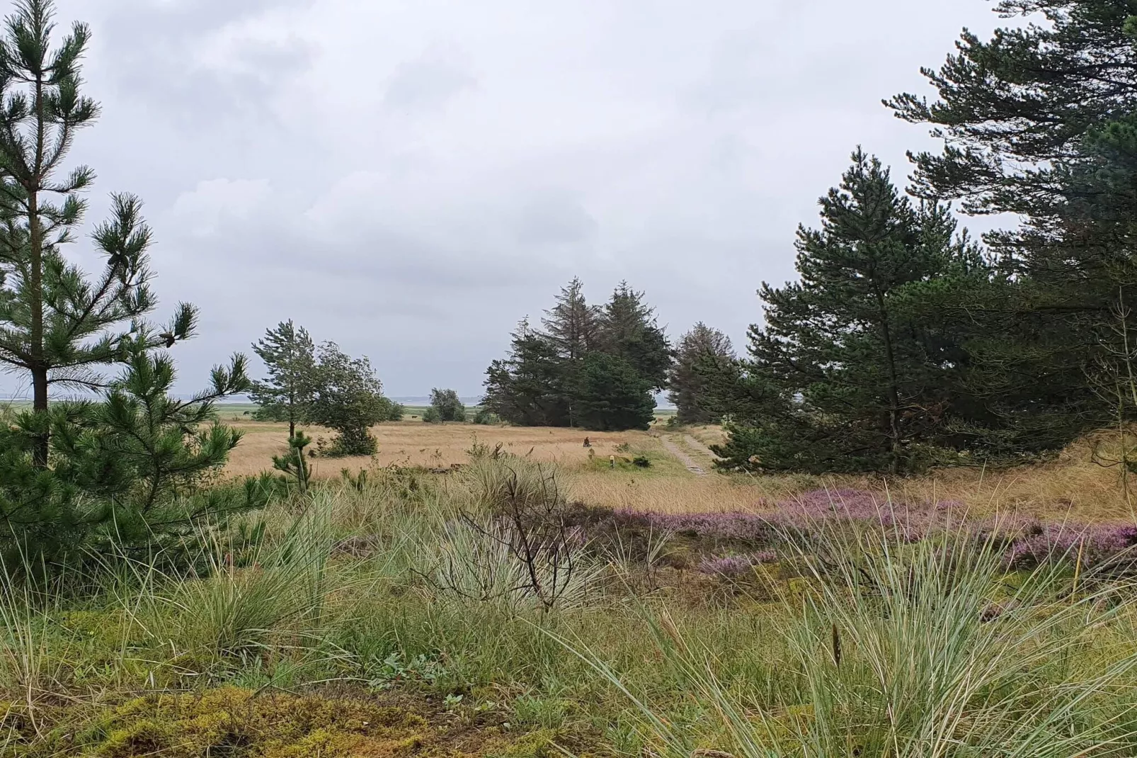 4 person holiday home in Oksbøl-Untagged