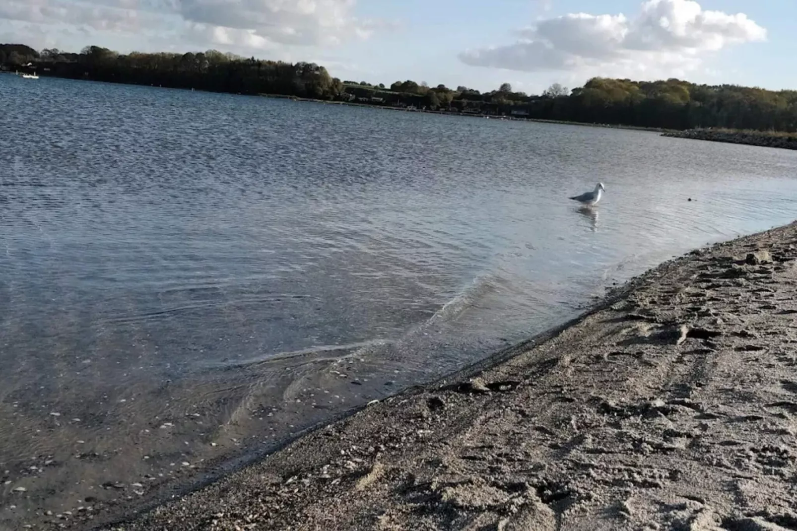 Maison de vacances pour 8 a Hejls-Vue sur l'eau