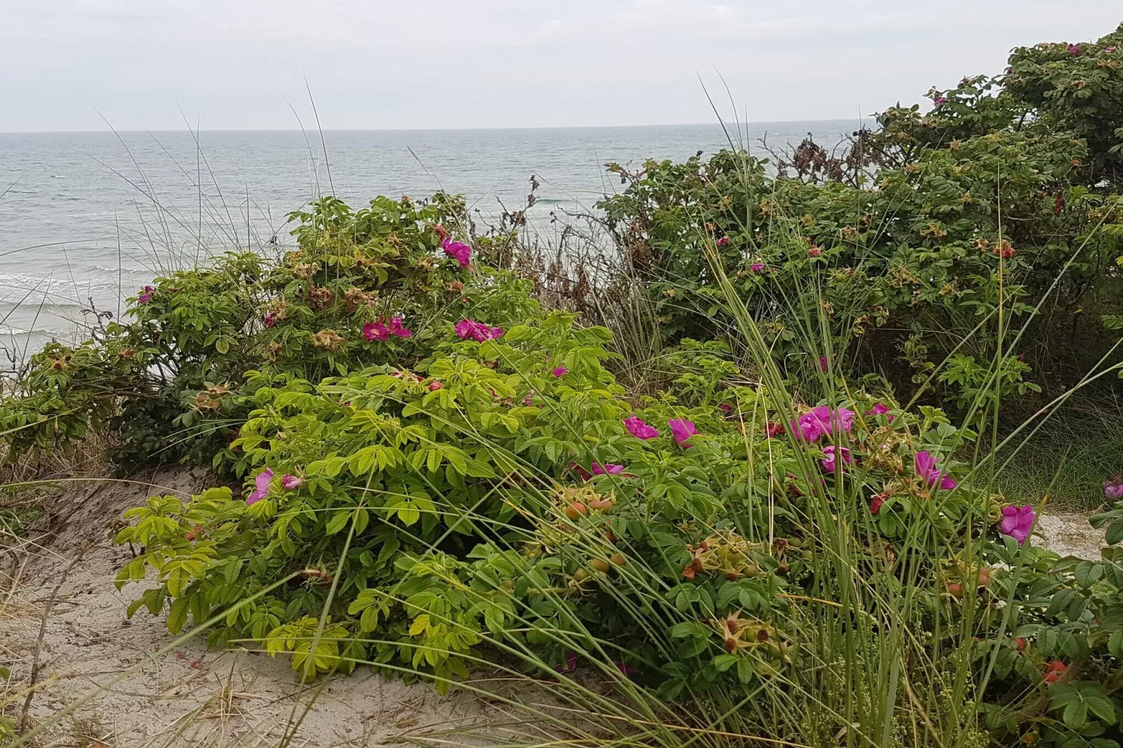 Maison de vacances à Sæby près de la plage-Vue sur l'eau