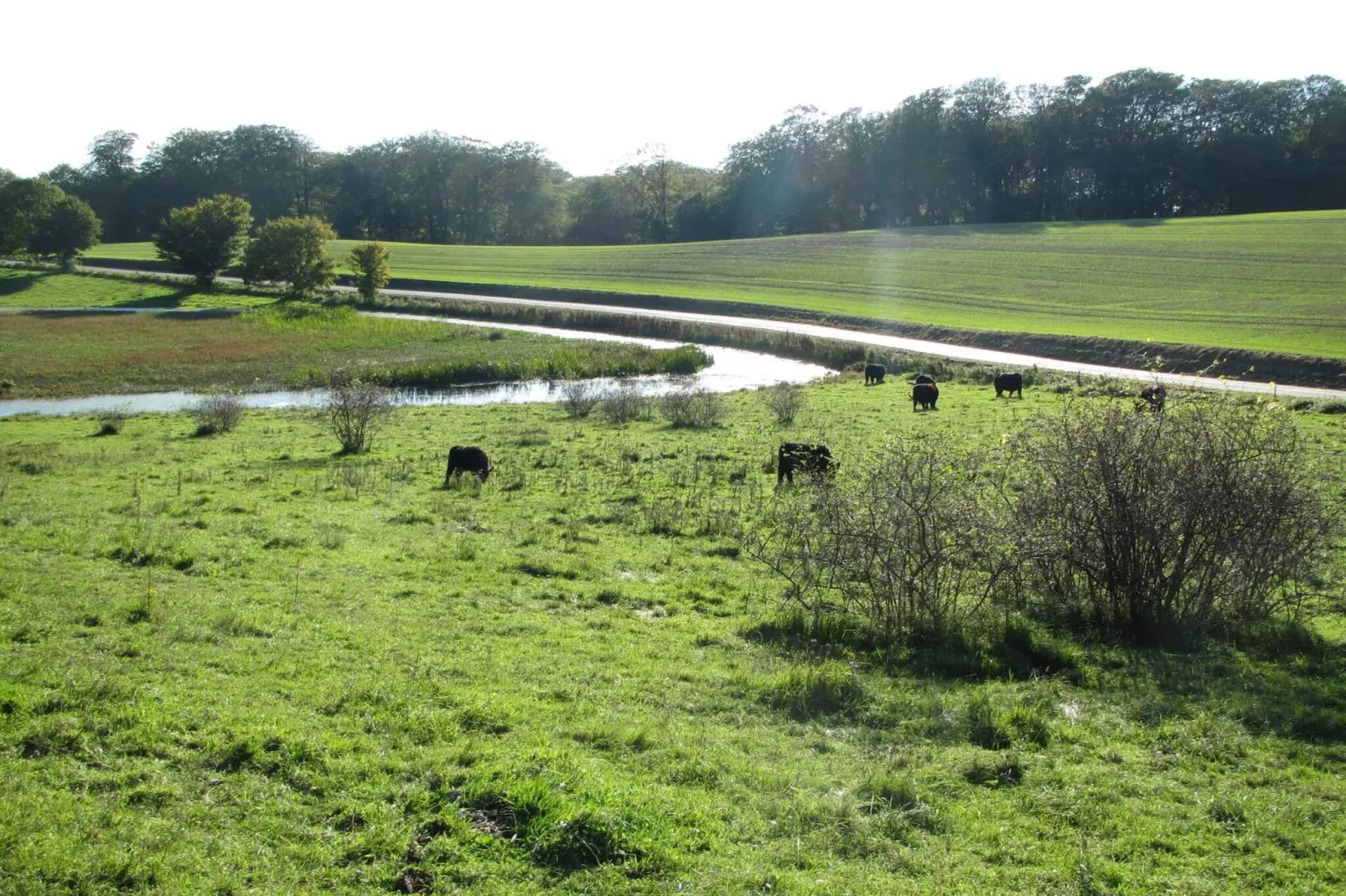 Maison de vacances pour 4 a Stege-By Traum-Non tagué