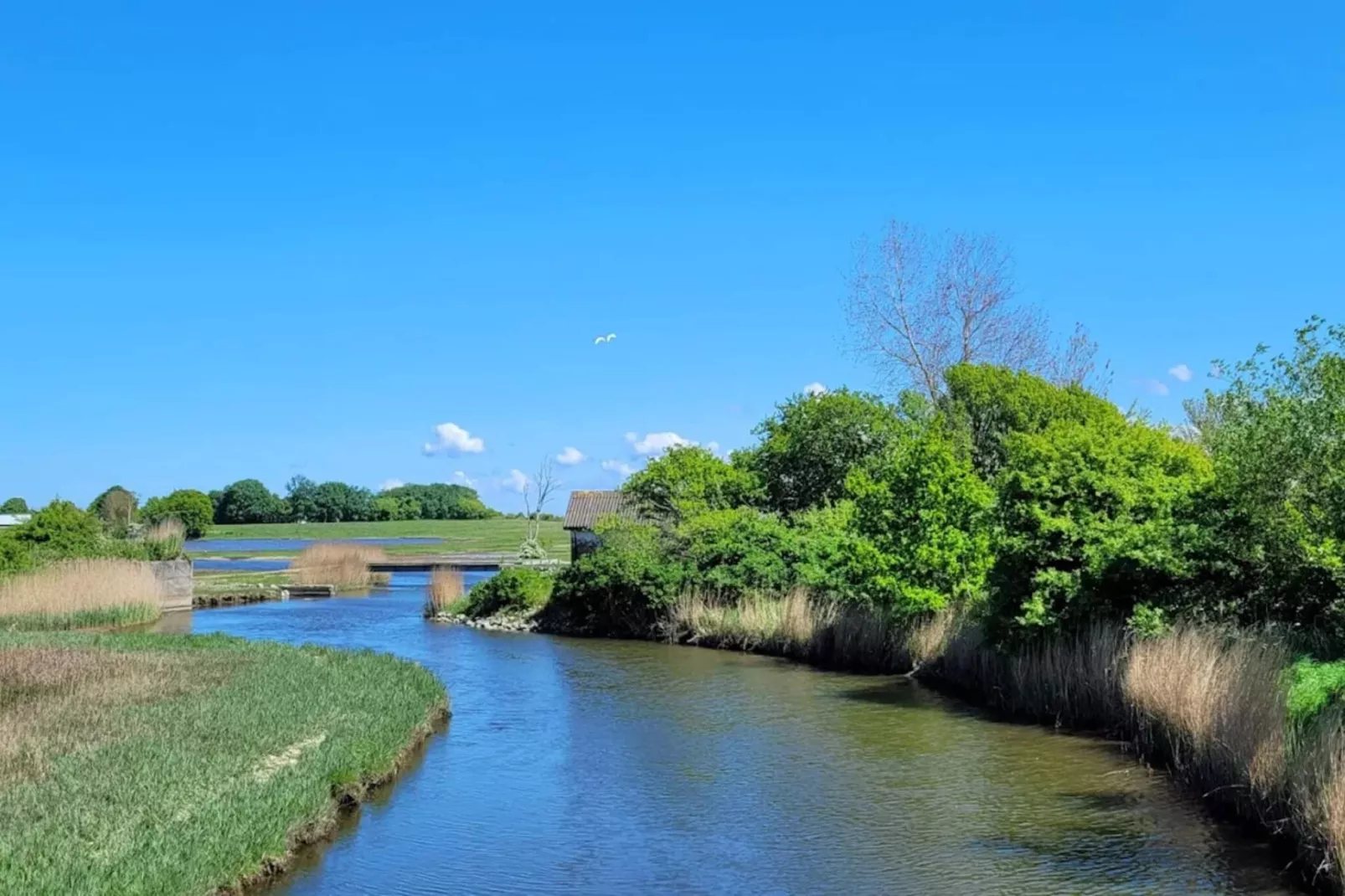 Maison de vacances pour 8 a Bjert-By Traum-Vue sur l'eau