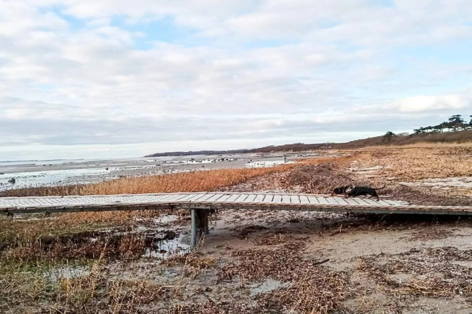6 Personen Ferienhaus in Jægerspris-By Traum-Wasserblick