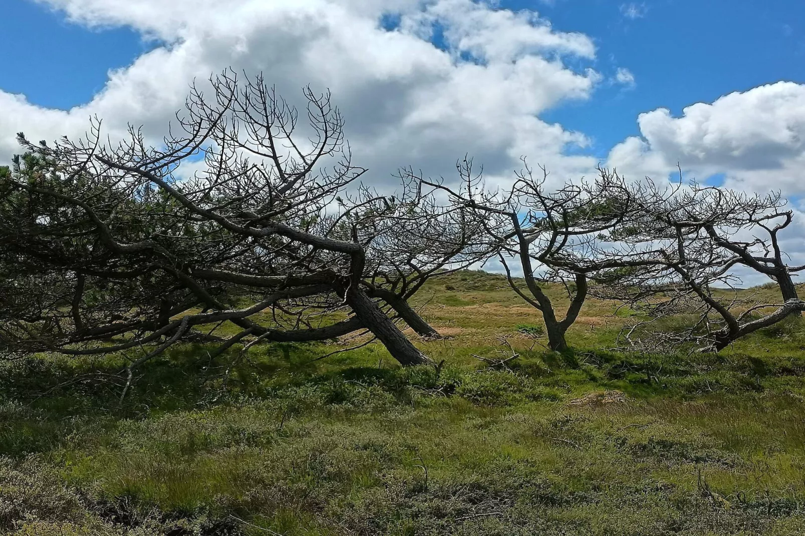 6 person holiday home in Ulfborg-By Traum-Untagged