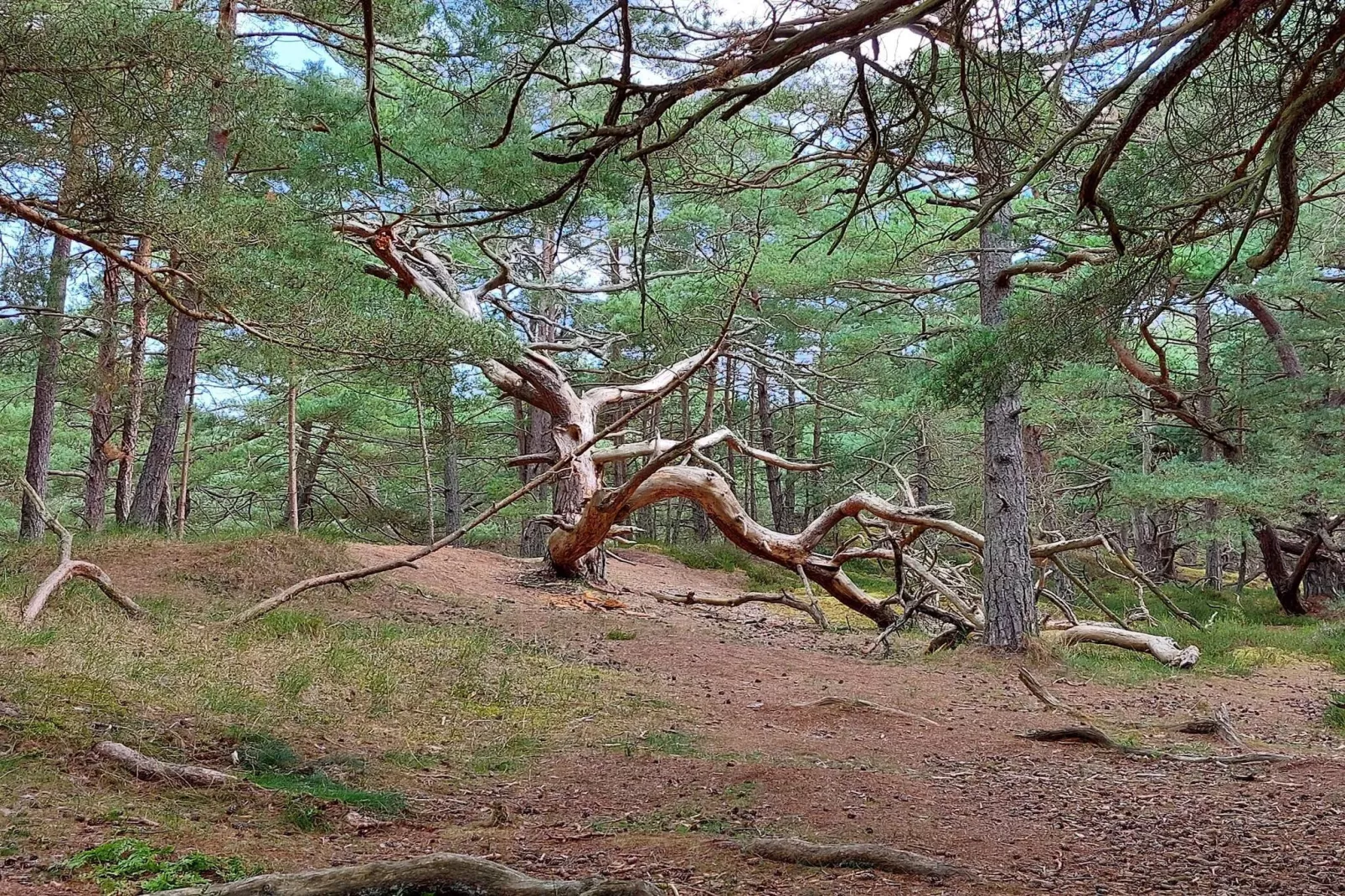 Modern Cottage near Beach - By Traum Ferienwohnungen-Untagged