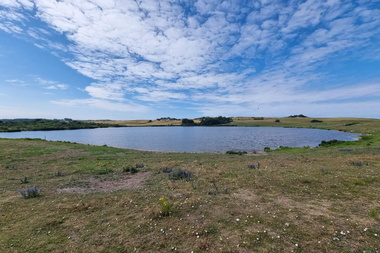 4 Personen Ferienhaus in Føllenslev-By Traum-Wasserblick