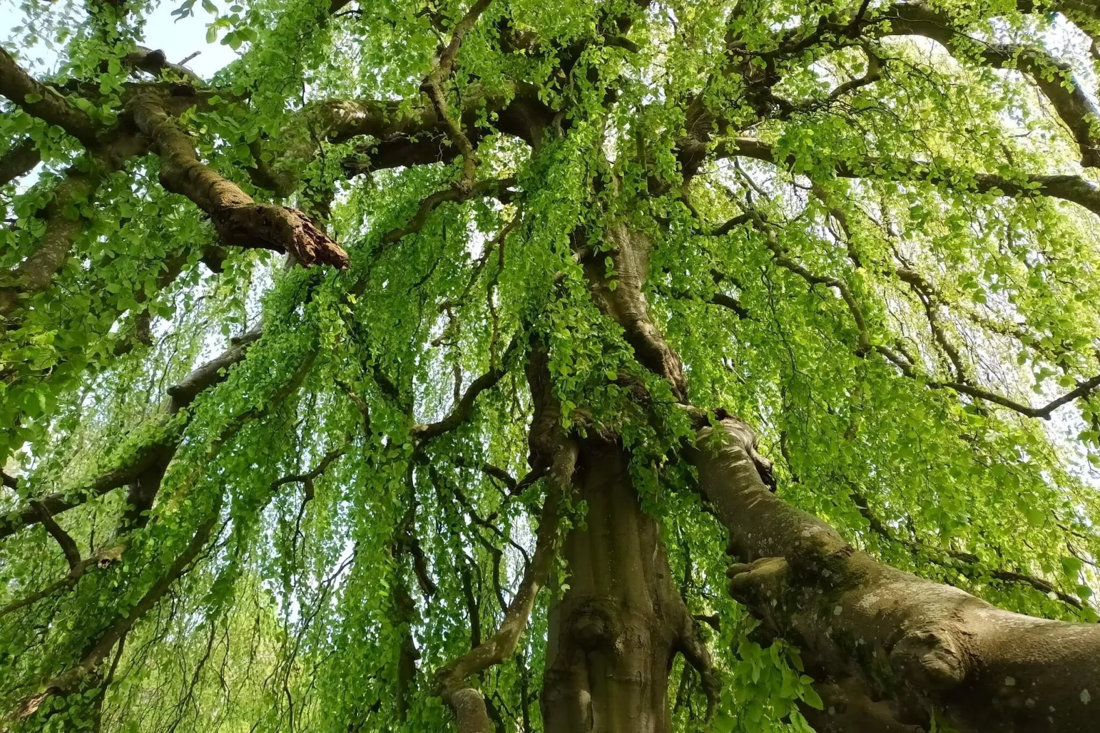 6 person holiday home in Øster Assels-By Traum-Untagged