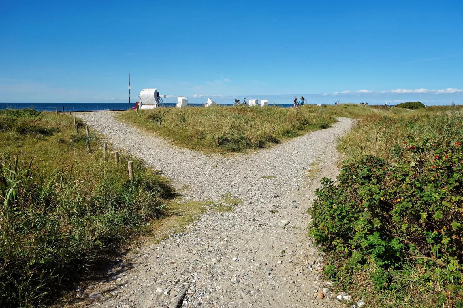 Inselresort Vespucci-Areas within 5km in summer