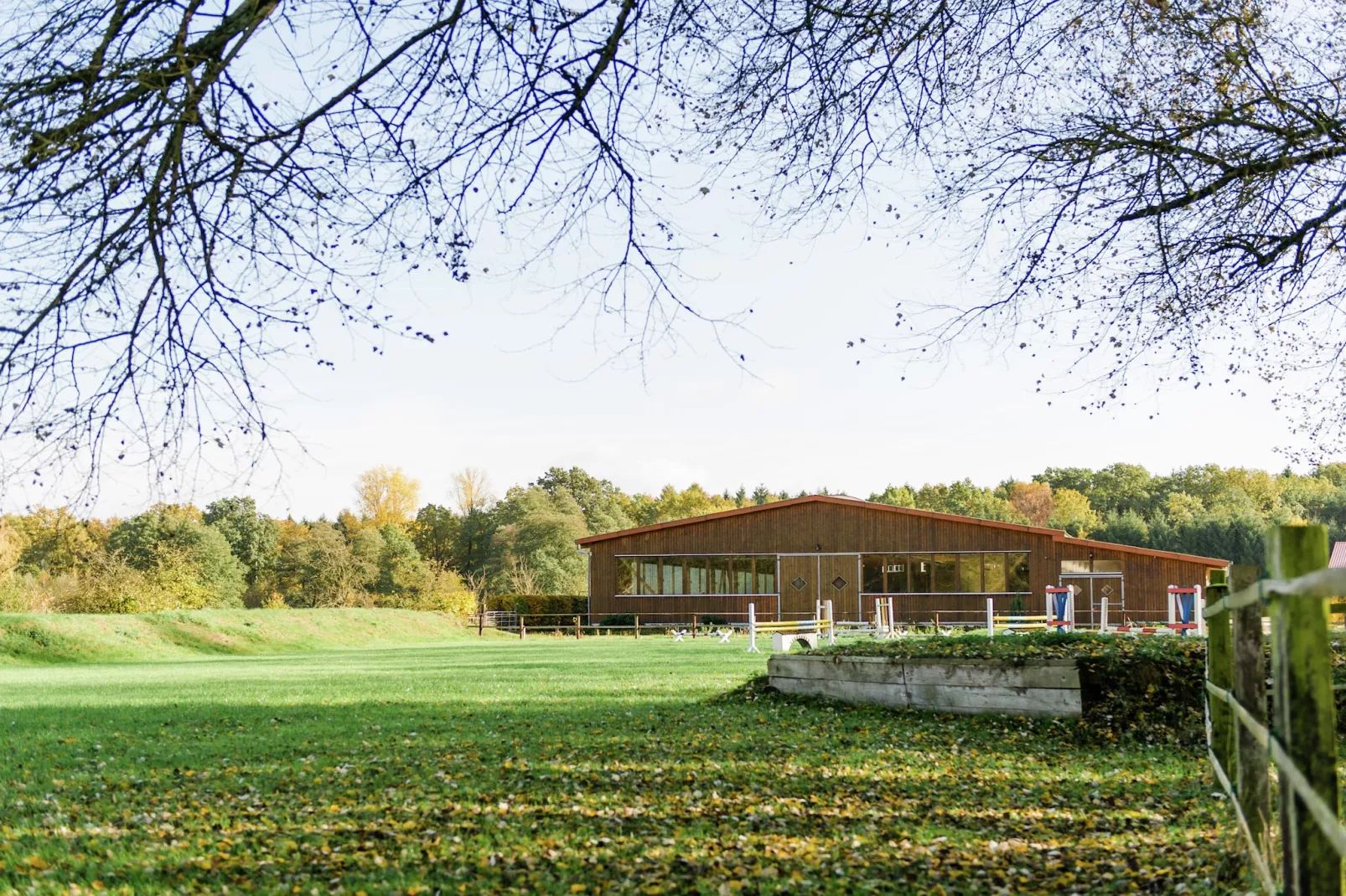 Lüneburger Heide-View in summer
