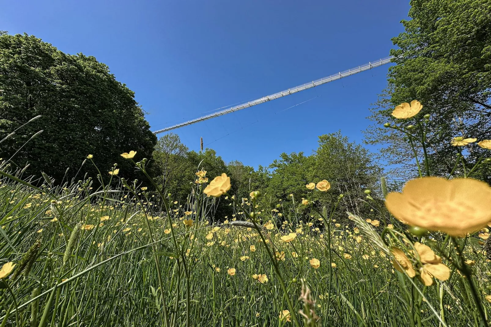 Ronshausen 2-Areas within 20km in summer