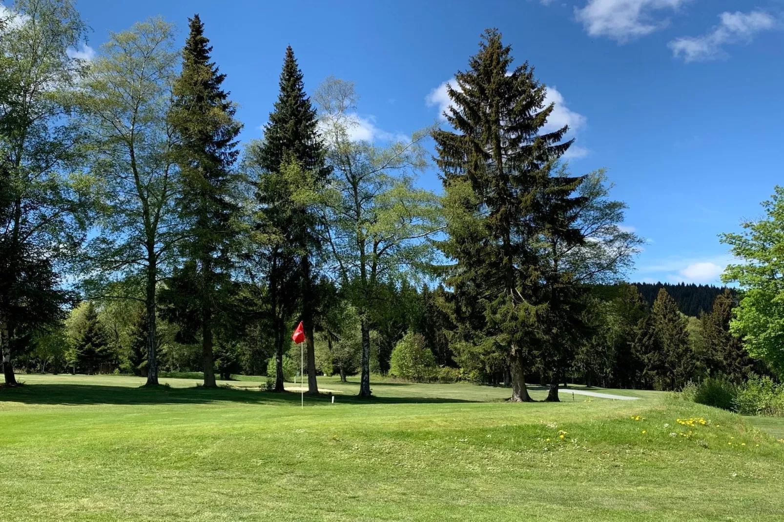 Weltring-Park 2-T-Areas within 20km in summer