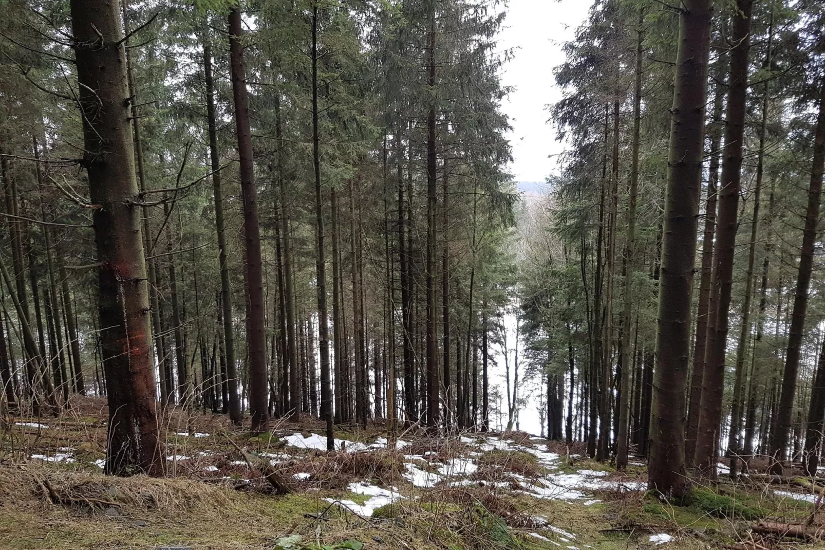 Am Südhang 11-Gebiet Winter 5 km