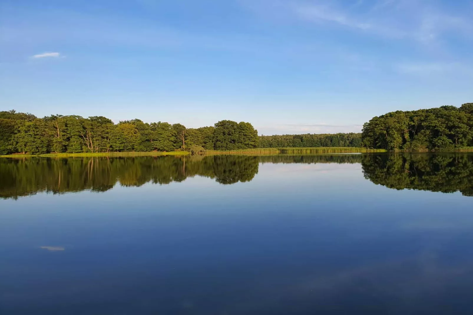 Ferienwohnung 40 qm-Zones été à 5 km