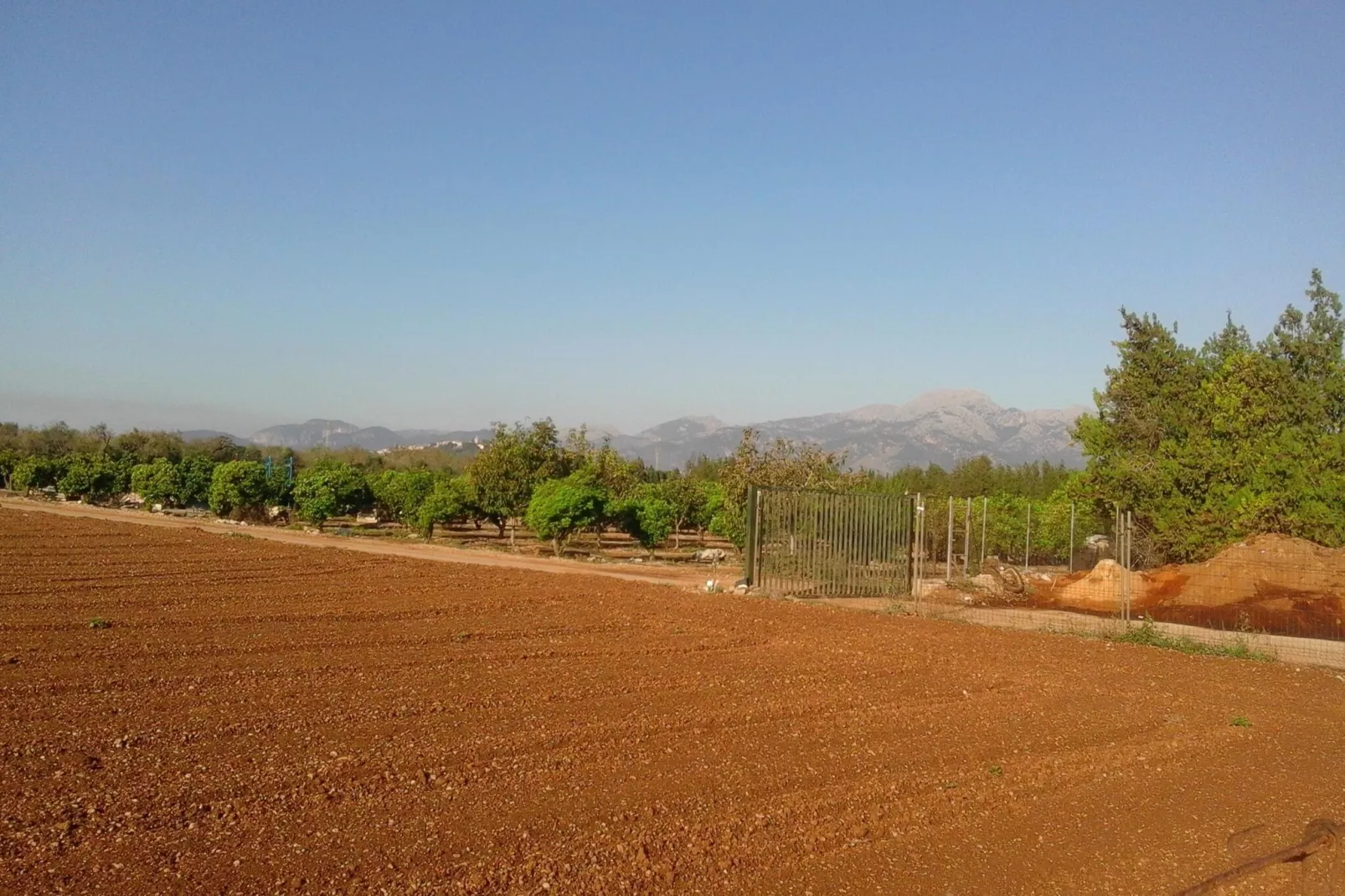 Can Serra-Areas within 5km in summer