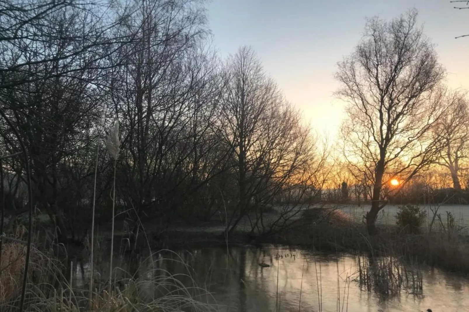 Bospark Markelo 7-Areas within 20km in summer