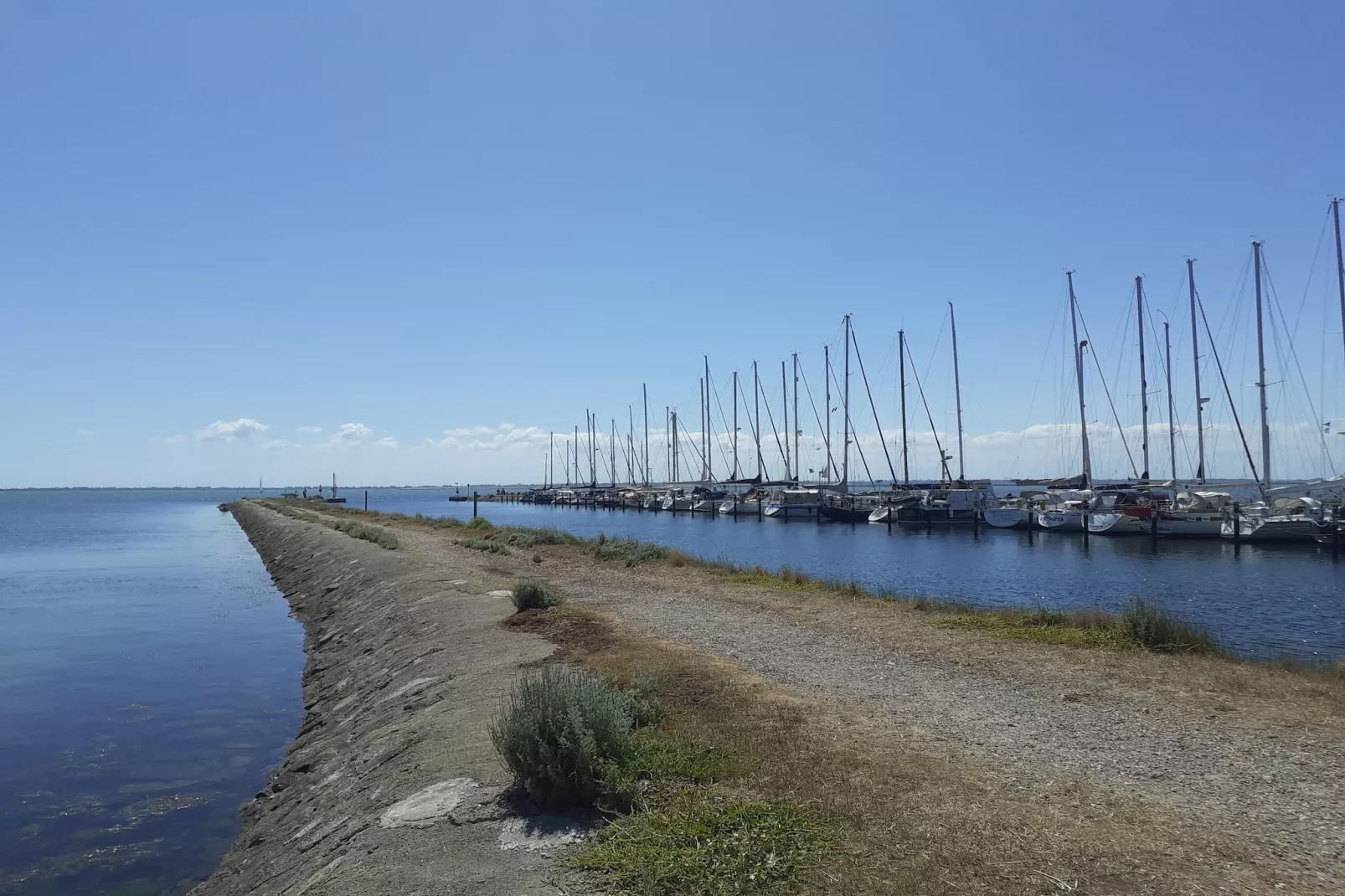 FeWo EG E-37-Areas within 1km in summer