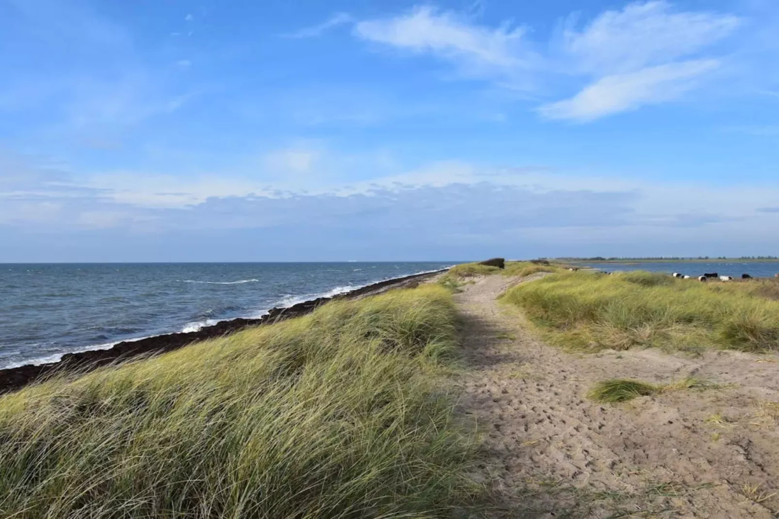 6 person holiday home in Rødby-Water view