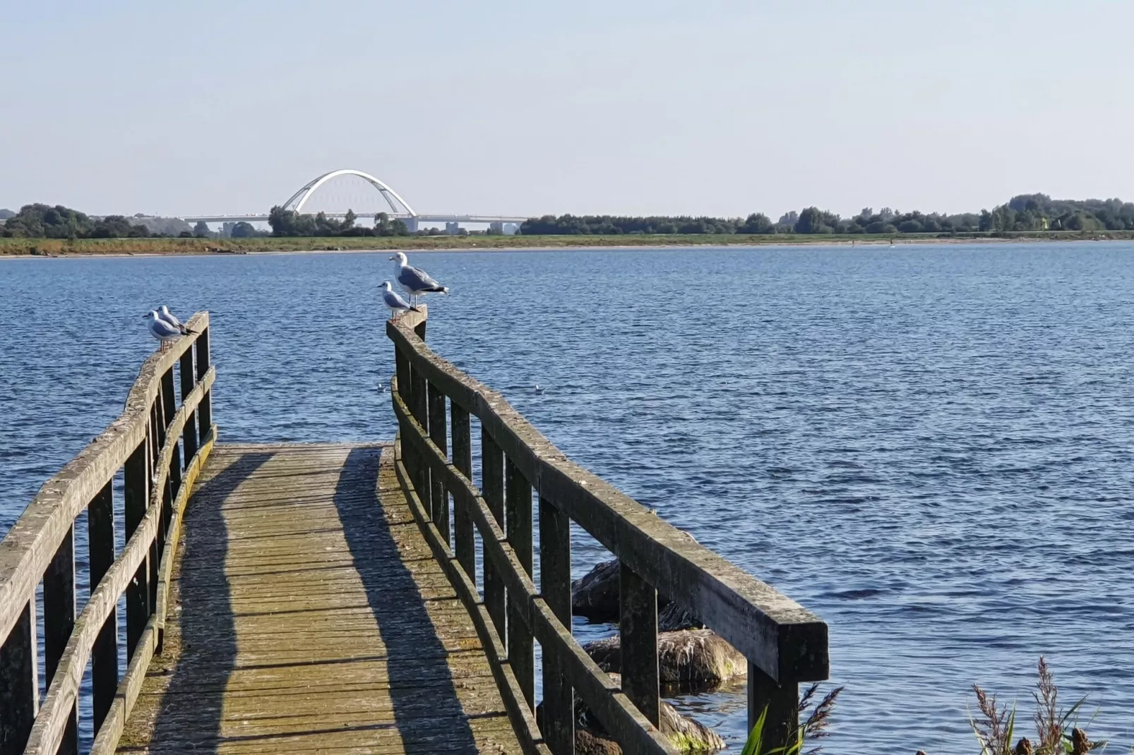 FeWo Lemk 16 1 OG-Areas within 5km in summer