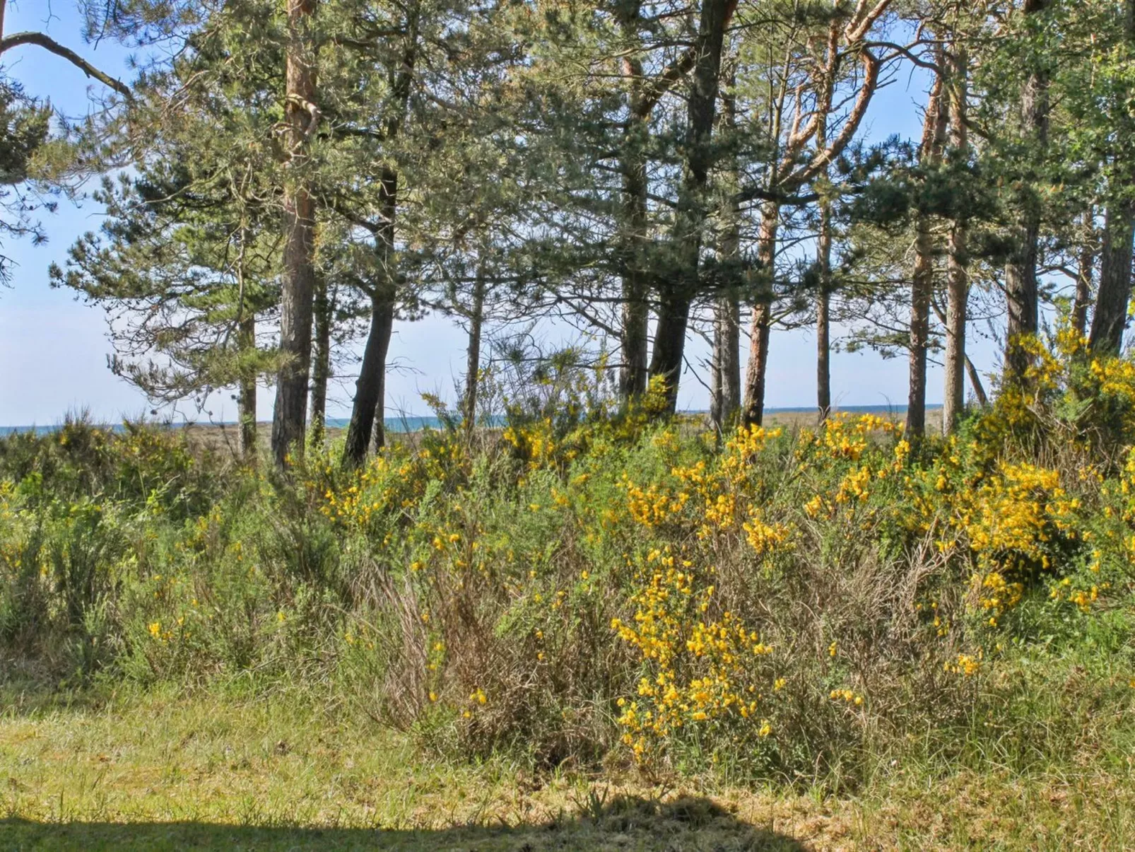 "Hatem" - 200m from the sea-Outside