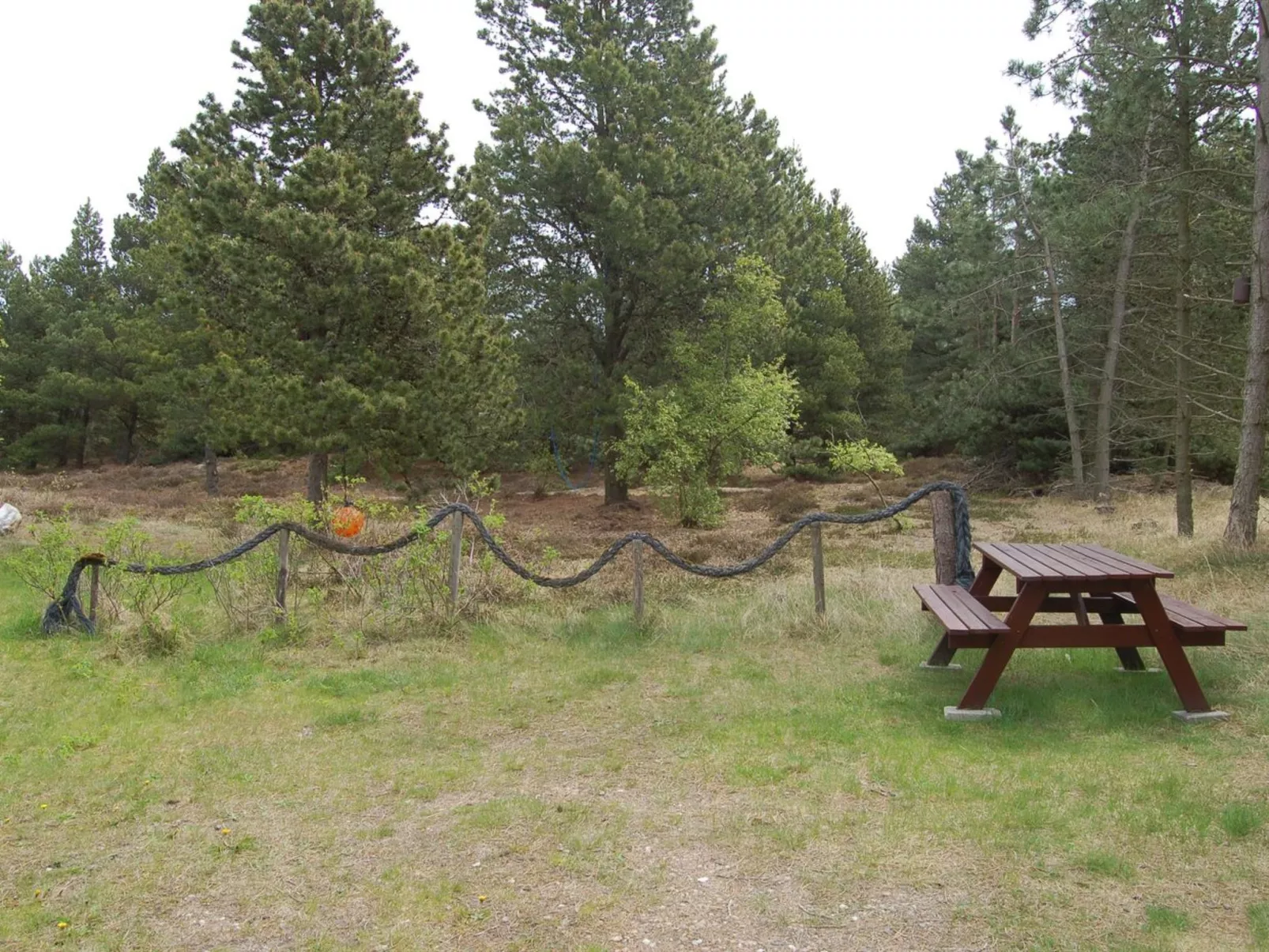 "Christian" - 3.5km from the sea-Draußen