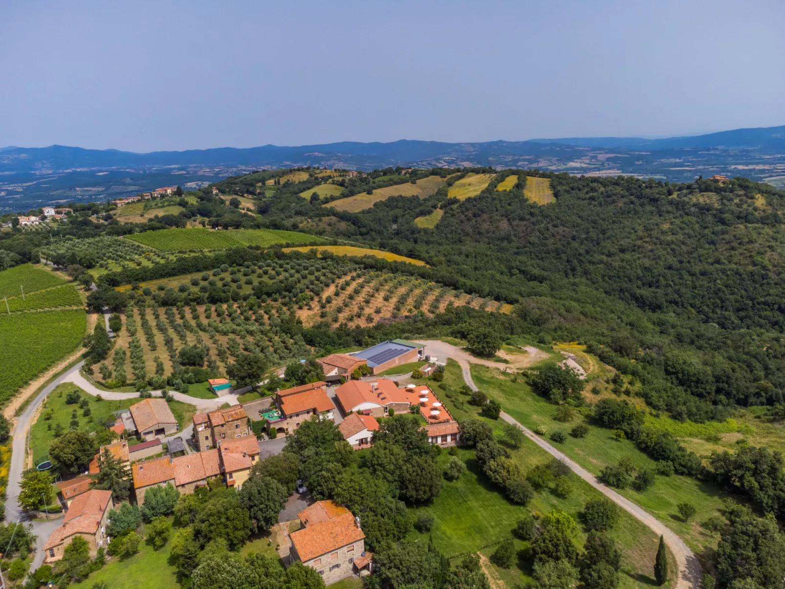 Ciliegiolo-Outside