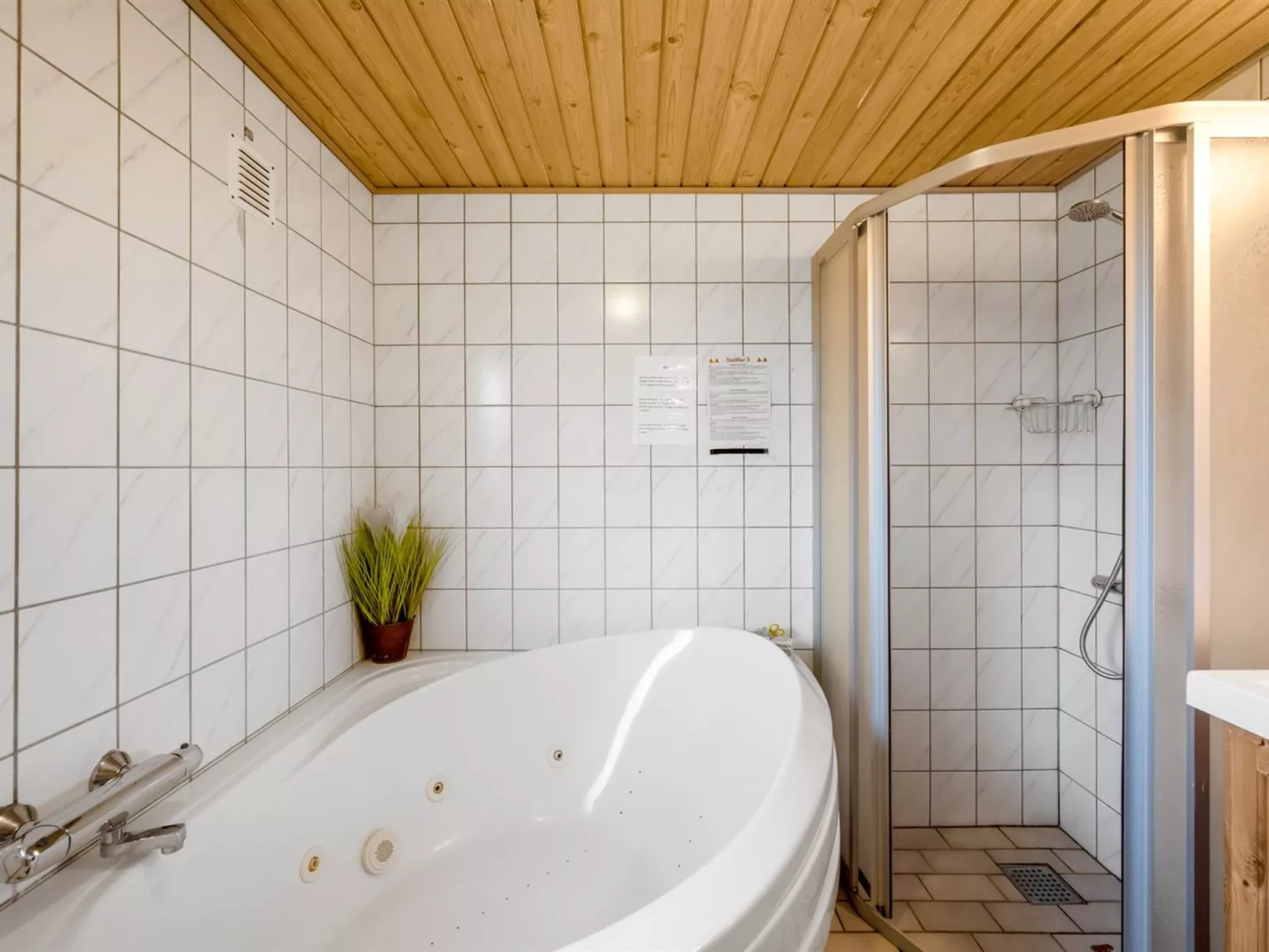 "Lambe" -  from the sea-Dedans