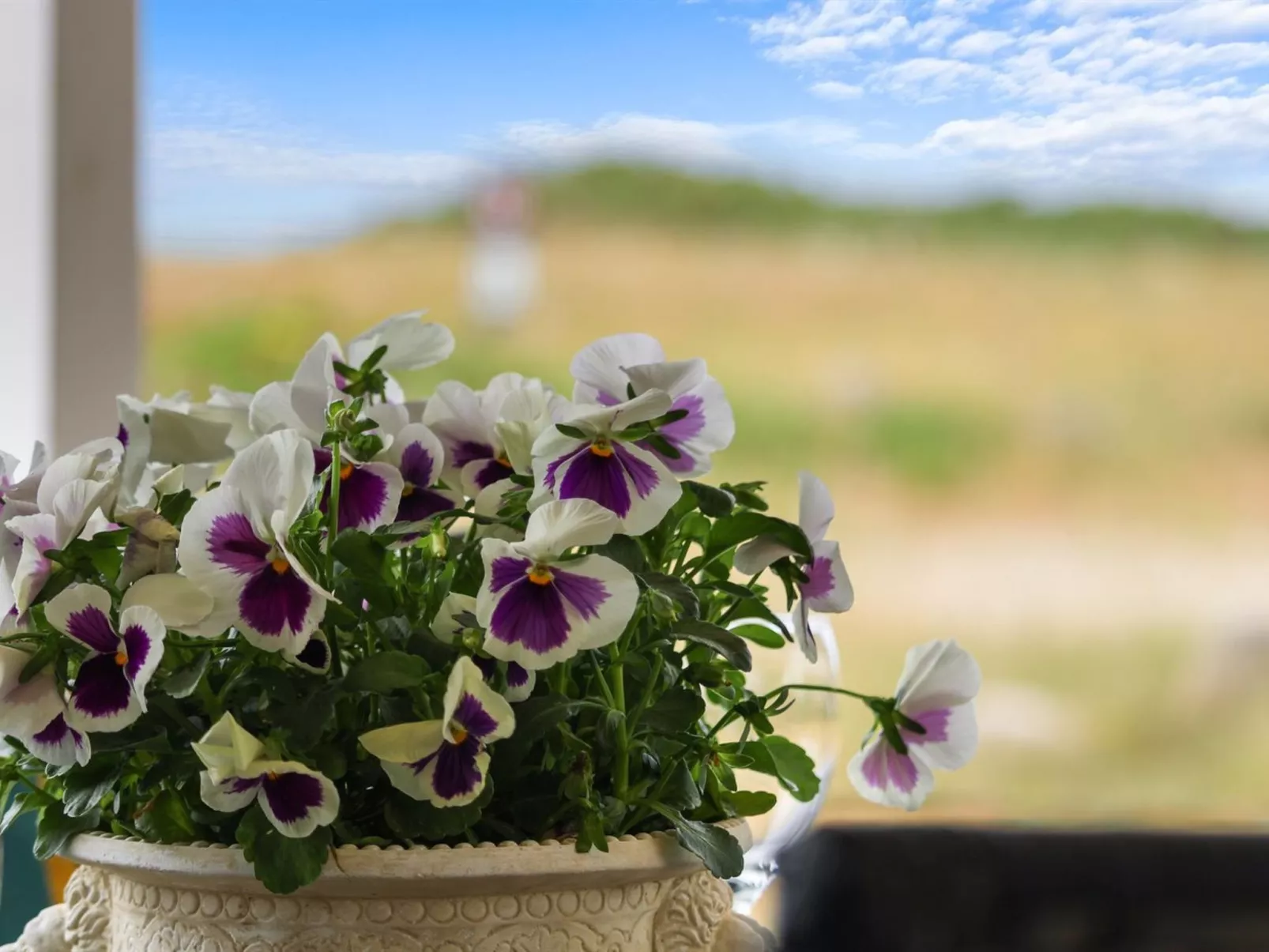 "Berndt" - 50m from the sea-Outside