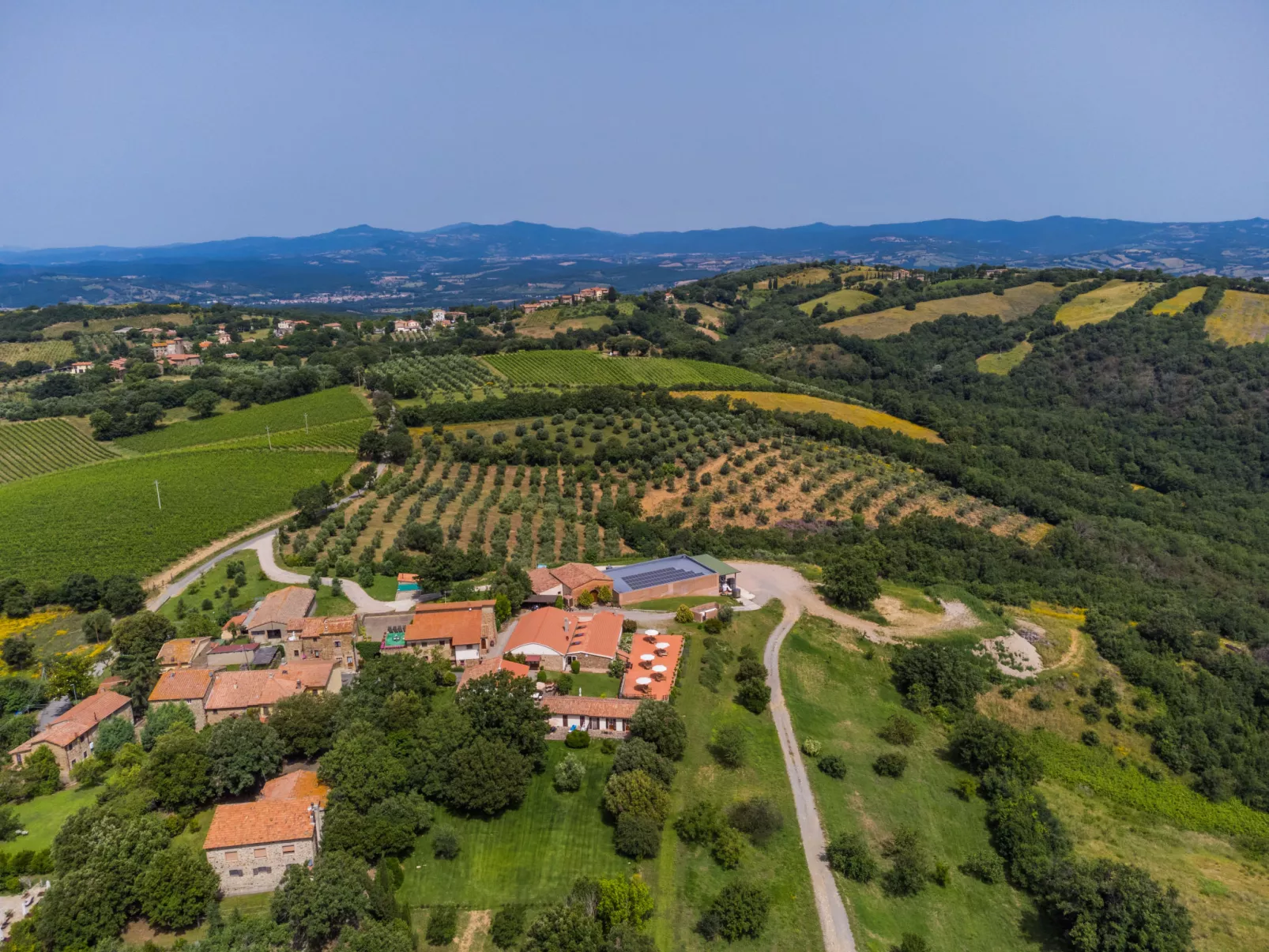Ciliegiolo-Outside